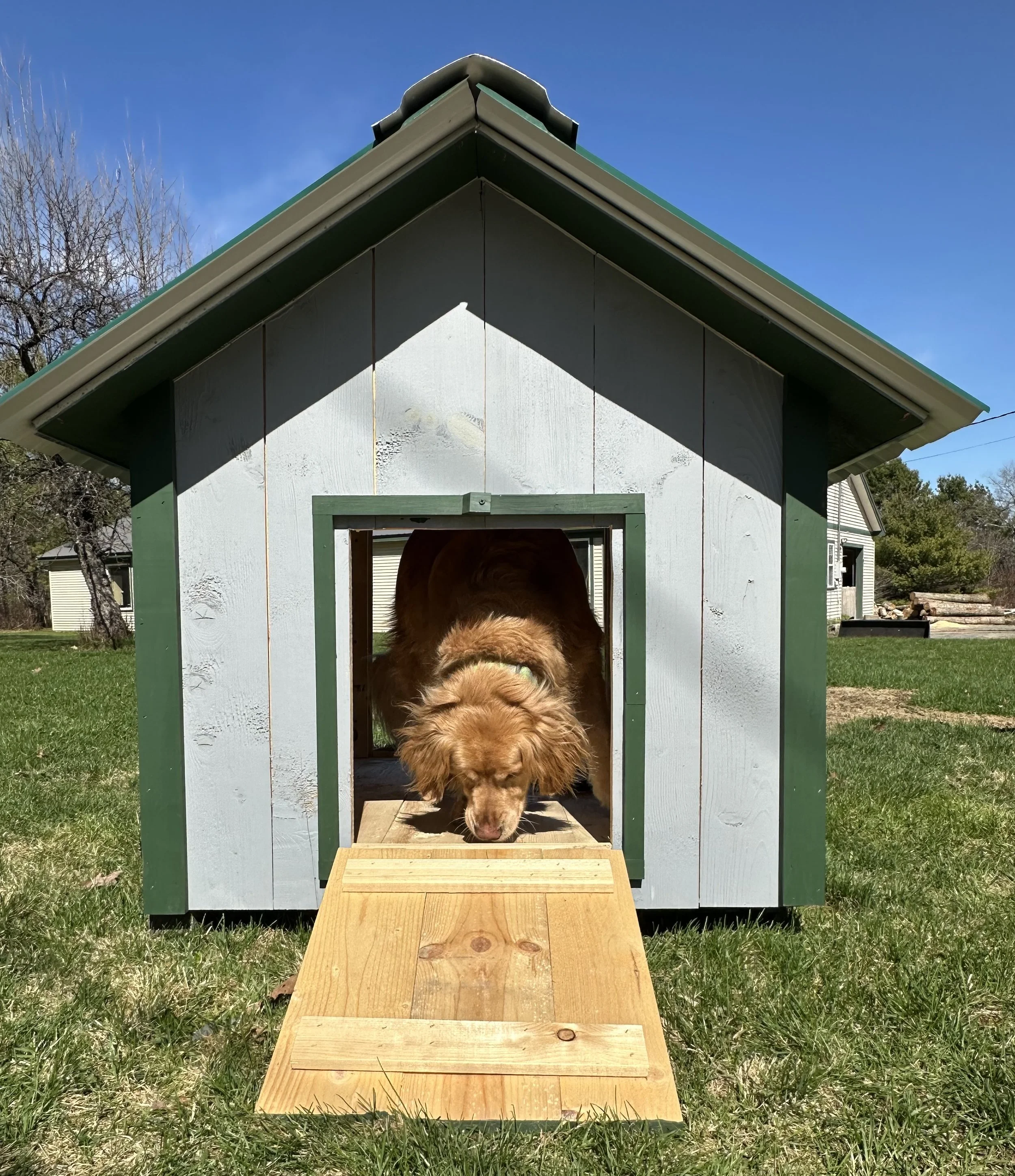 Large Dog House - 48” × 41” × 48” living space