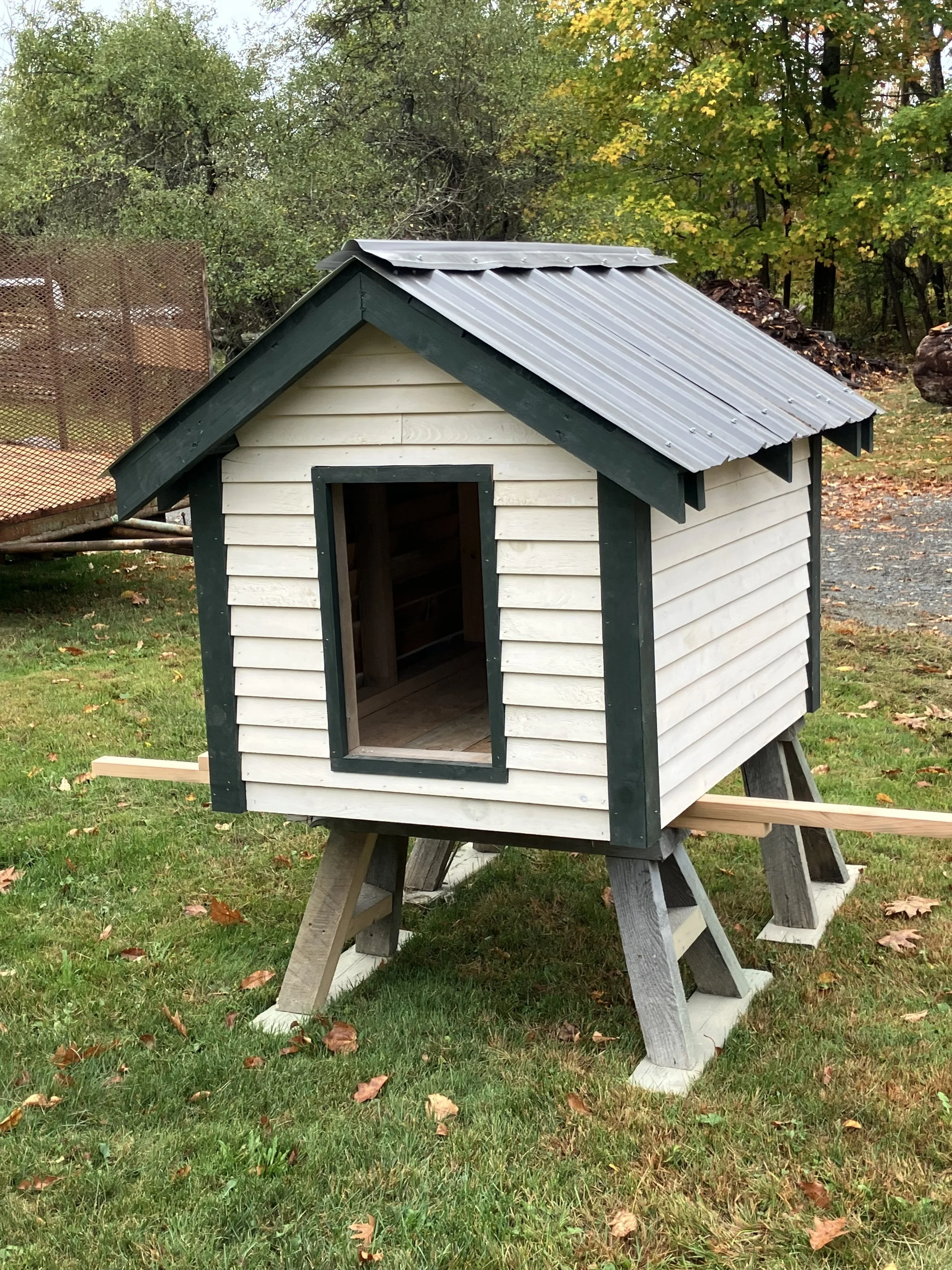 A small wooden dog house with a metal roof, situated outdoors on a grassy area with fallen leaves, surrounded by trees.