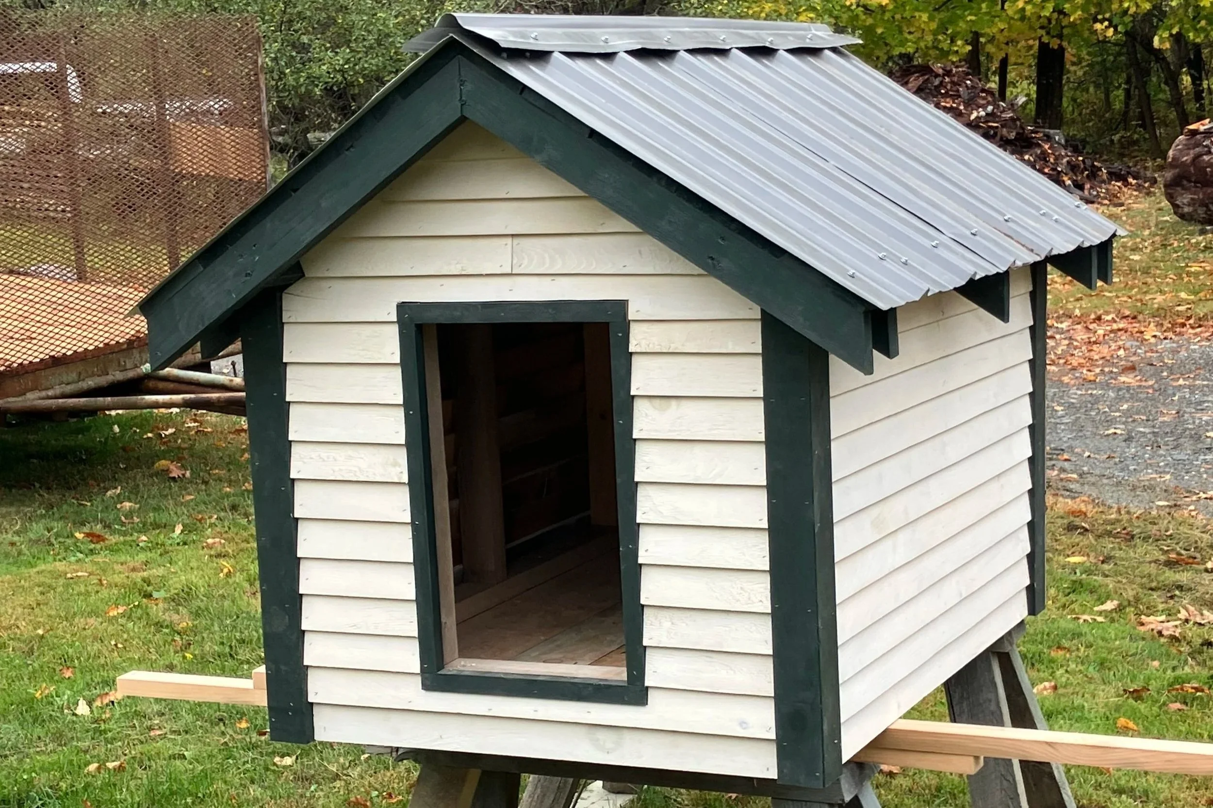 A small wooden chicken coop with a metal roof, painted white with dark green trim, set on a grassy area with trees and fallen leaves in the background.