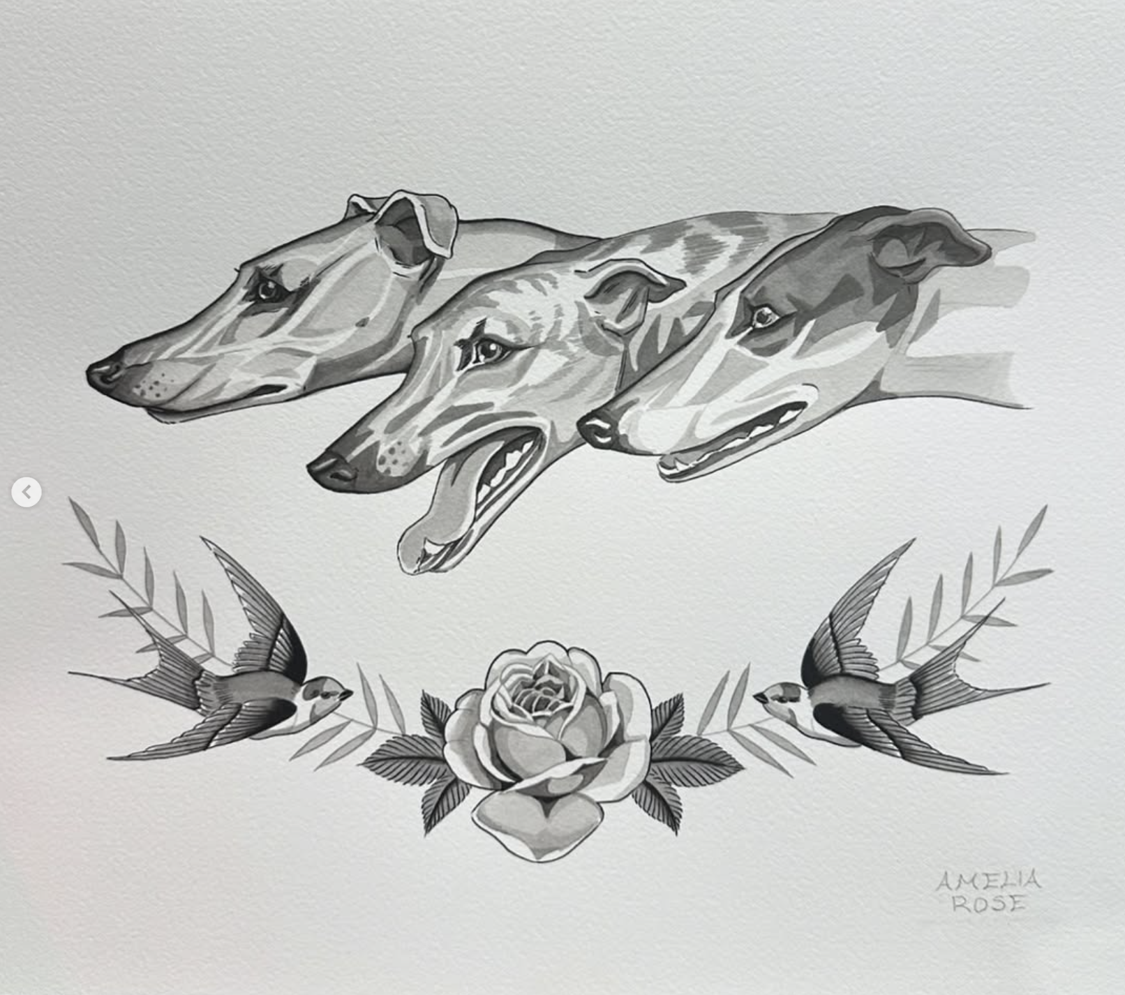 A grayscale illustration of three greyhounds' heads above a rose and two flying birds, with the artist's signature 'Amelia Rose' at the bottom right.