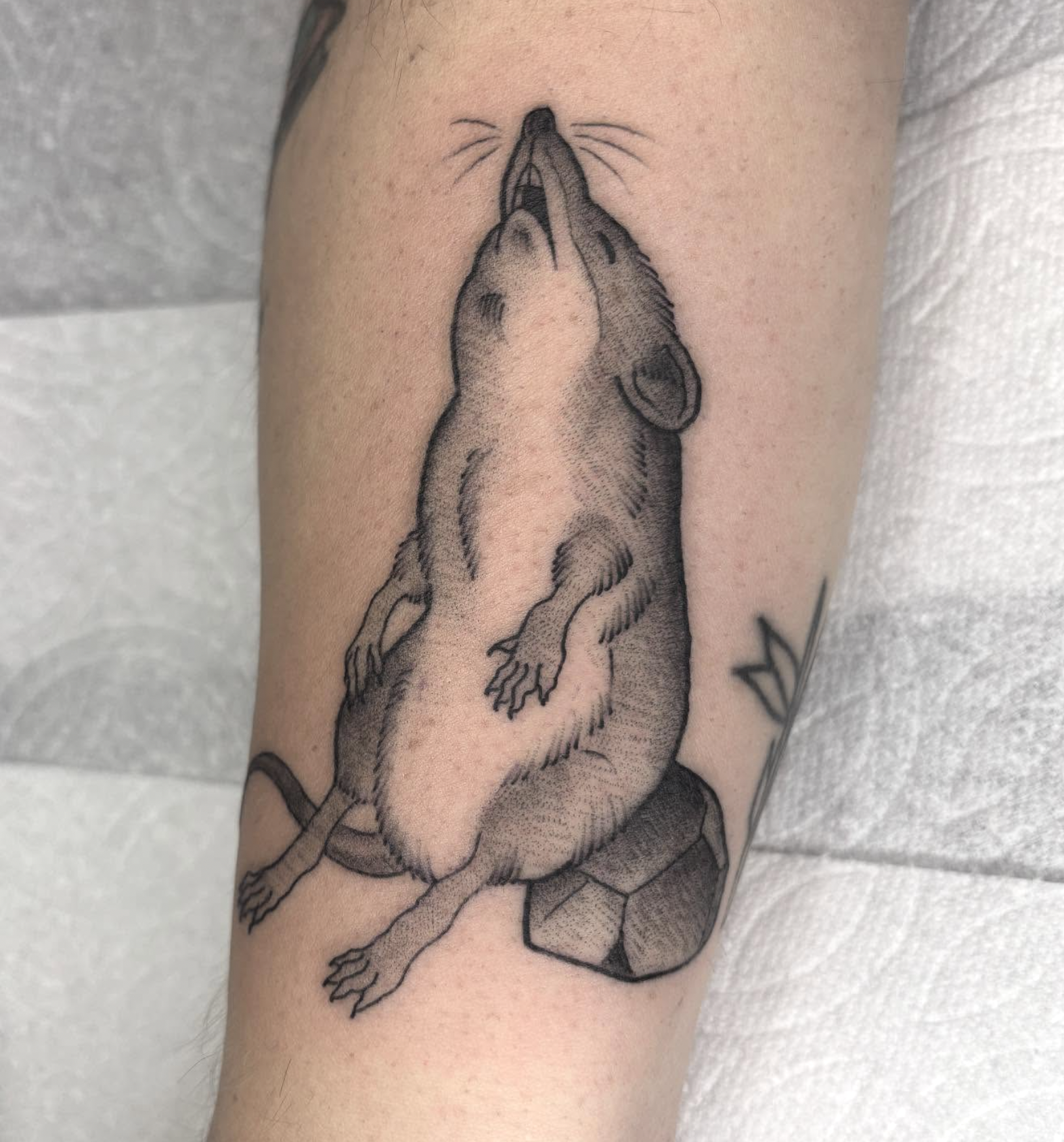 Tattoo of a rat standing on its hind legs on a rock, with its head tilted upward and whiskers visible.