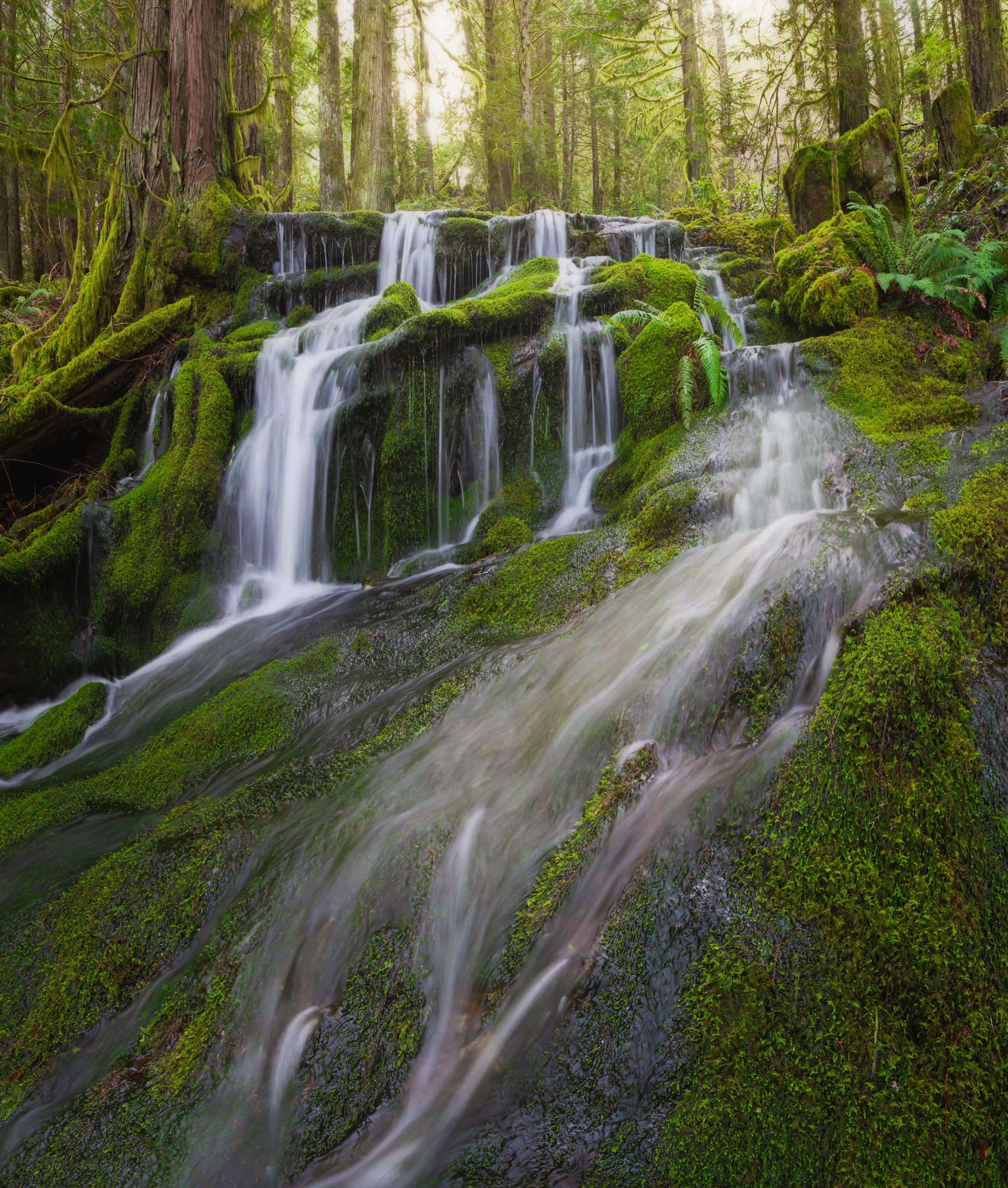 DSC_2282 Panorama-md.jpg