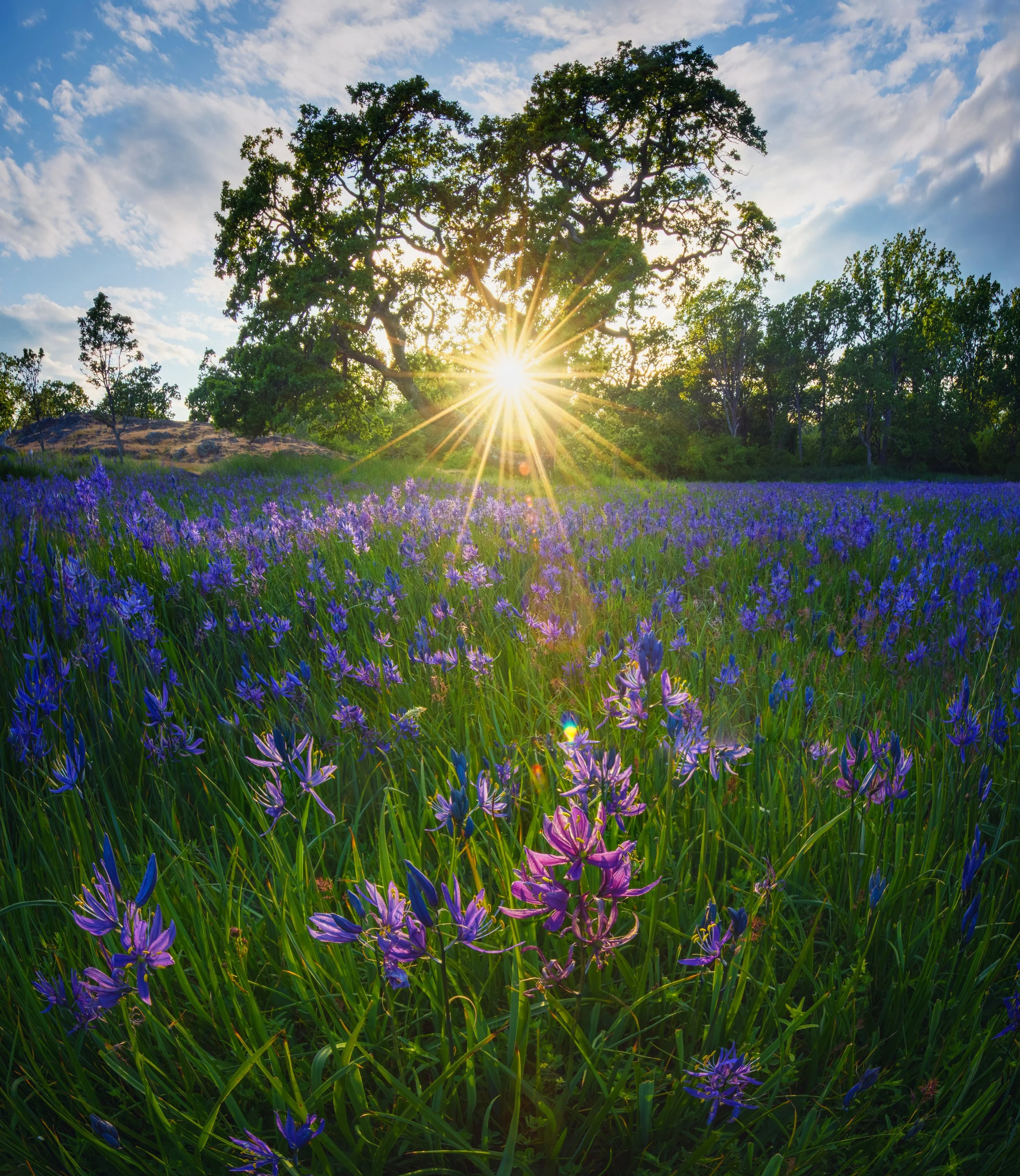 DSC_4282-HDR Panorama-md.jpg
