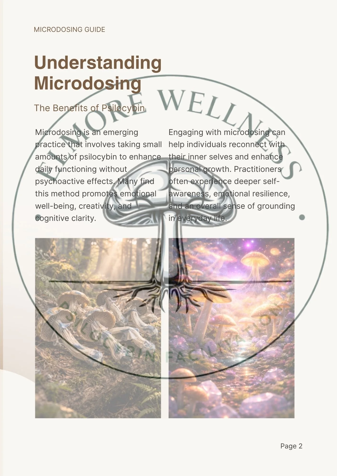 Document - Microdosing Guide.jpg