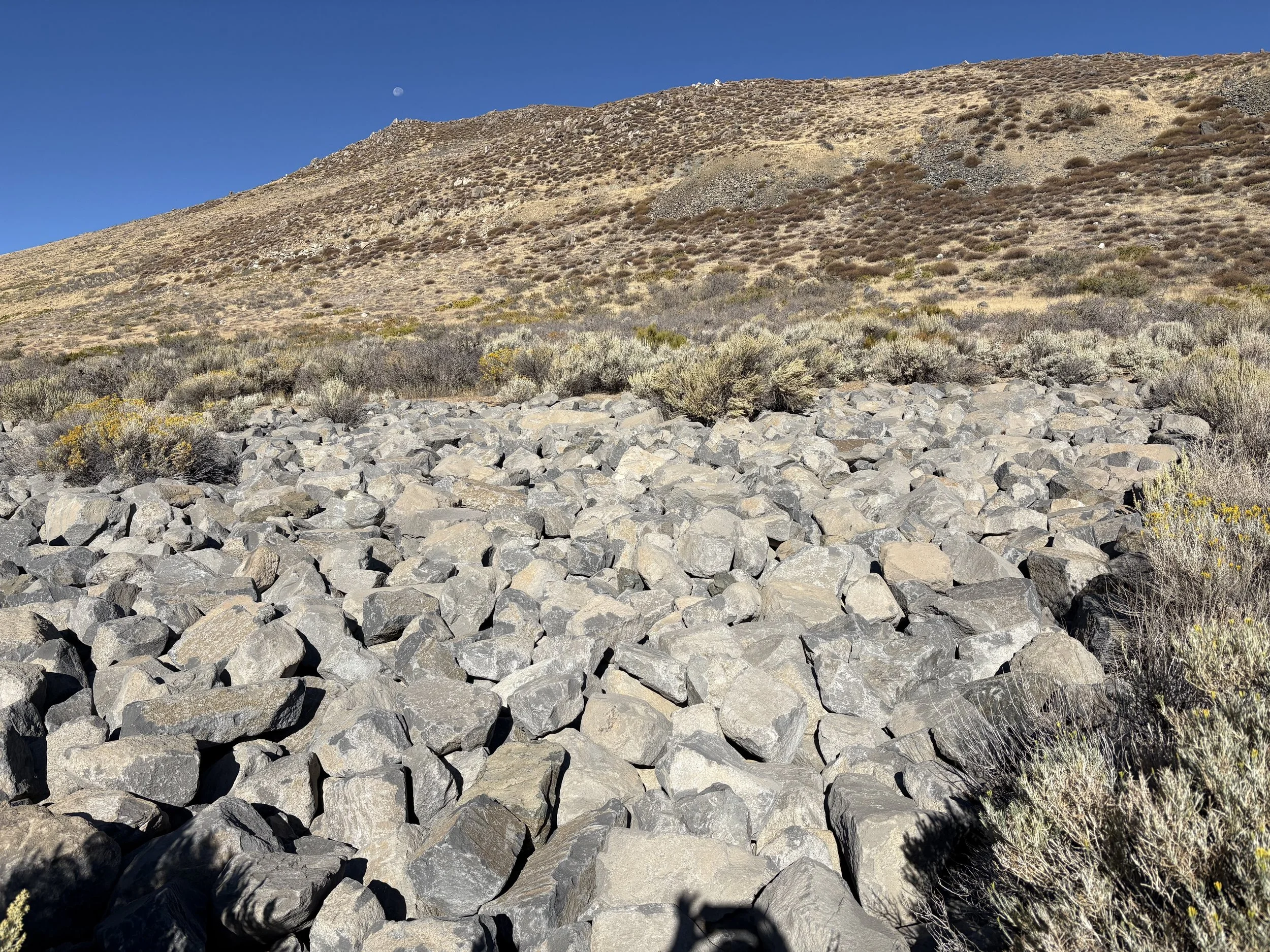 A dry, rocky desert landscape with sparse bushes and a mountain in the background under a clear blue sky with a visible moon.