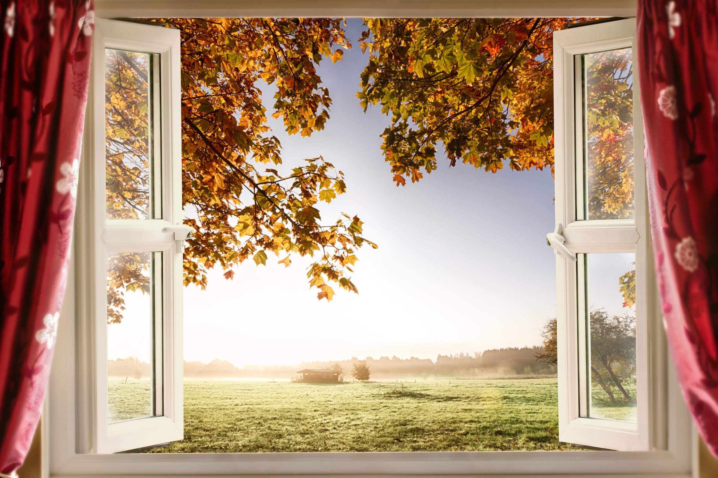 Open window with red curtains overlooking a grassy field and trees with autumn leaves during sunrise or sunset.