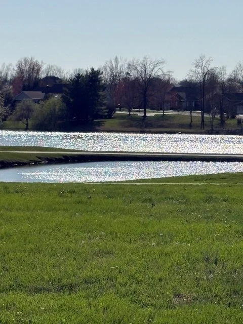 A peaceful park scene with a grassy foreground, a small pond reflecting sunlight, and trees and houses in the background under a clear sky.