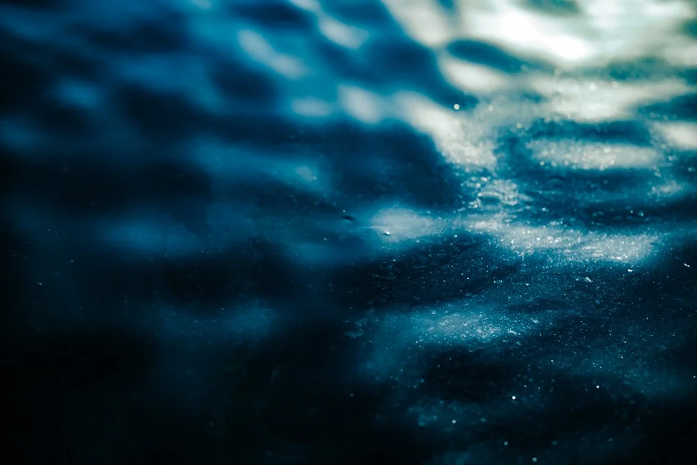 DSC_0244PKR3.jpg