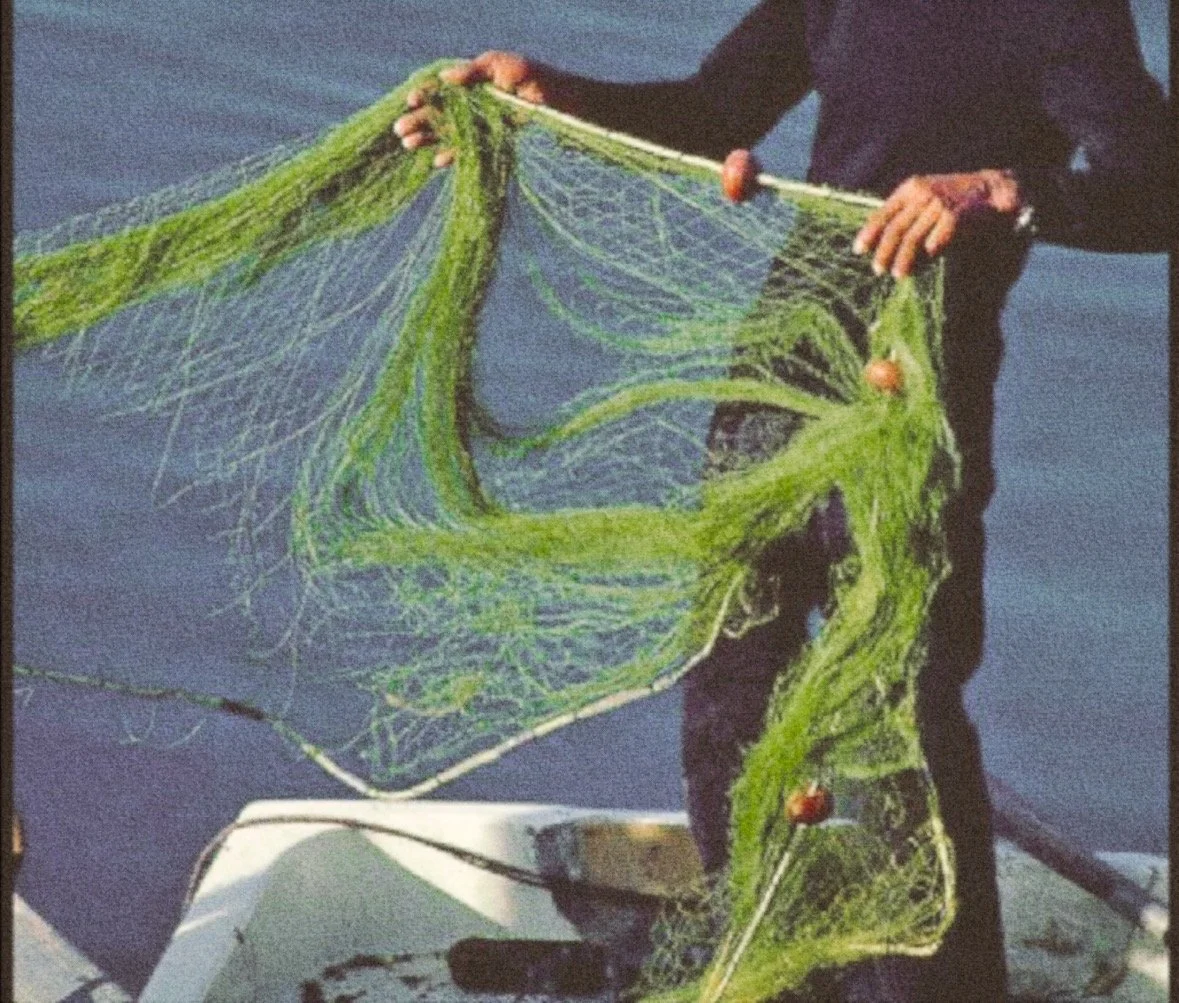 Person holding a fishing net with a fish inside