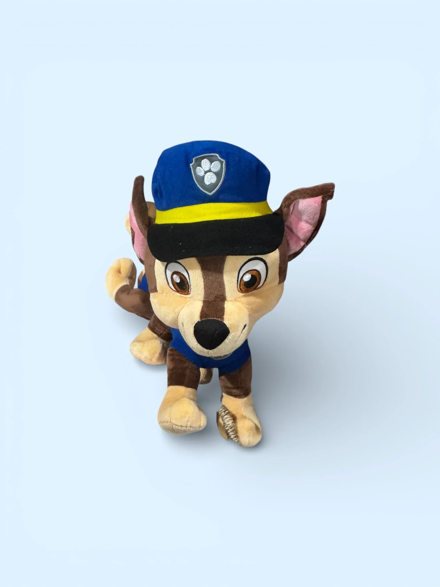 PAW PATROL CHASE