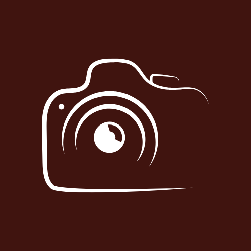Icon of a camera on a brown background.