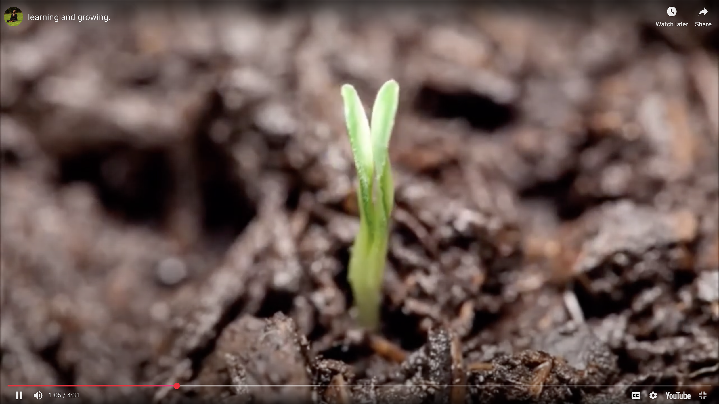 learning and growing, 2020