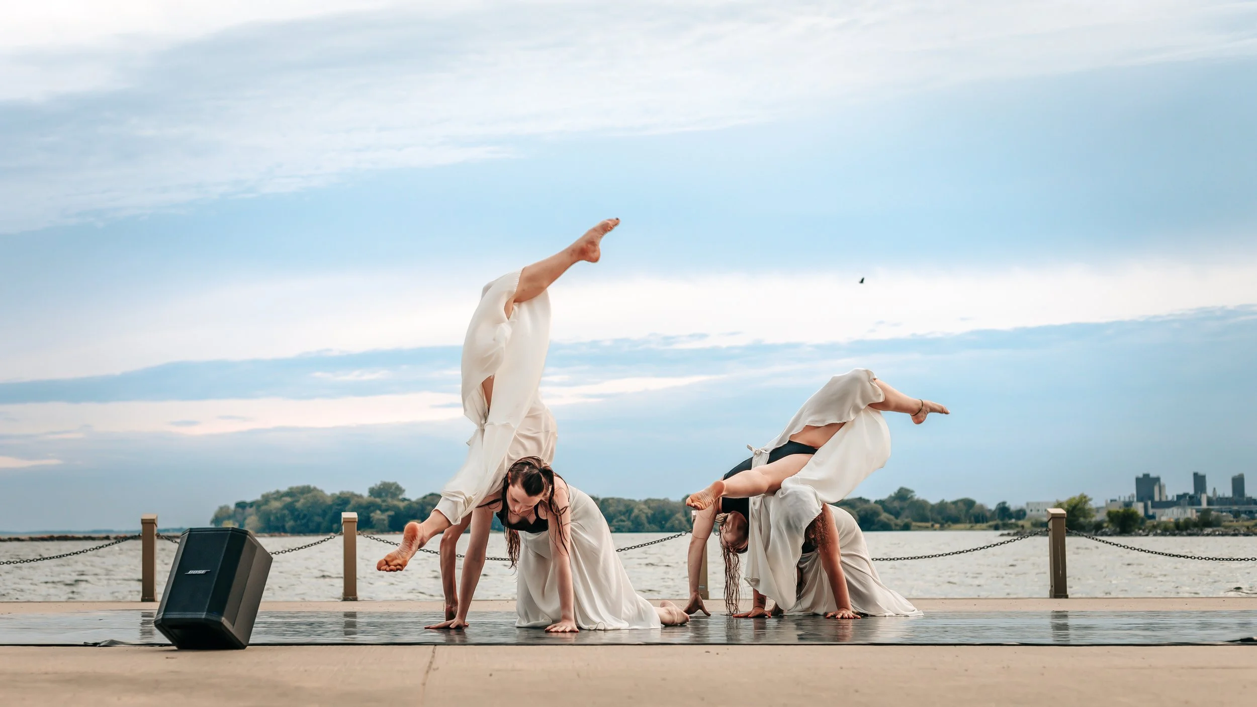 Water is my home copy.jpg