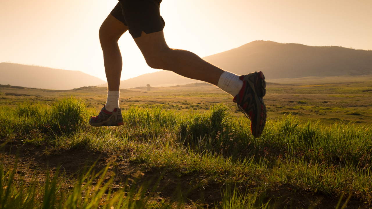 Run Program - 16- Week Training Plan