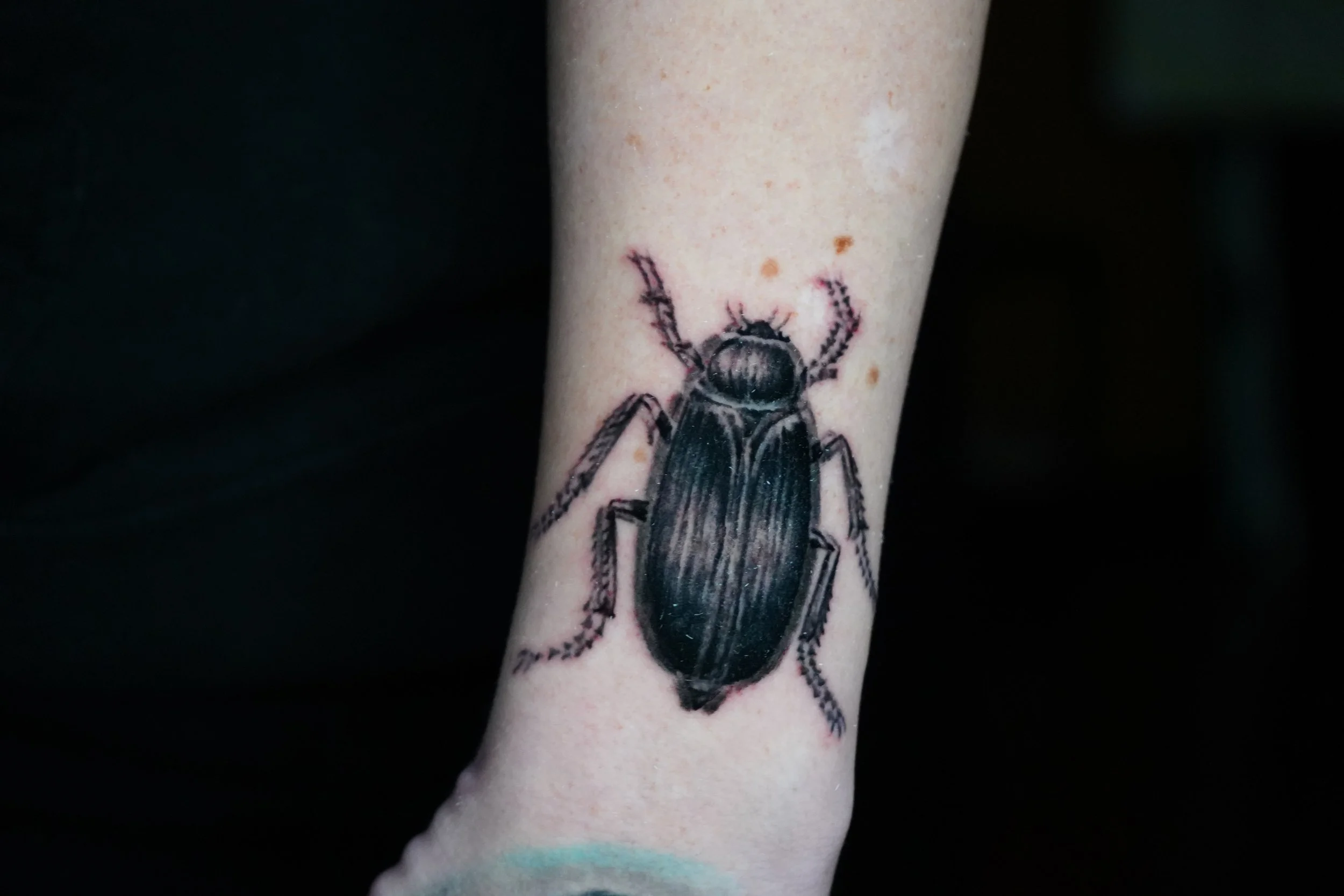 A black and gray realistic tattoo of a beetle on a person's forearm.