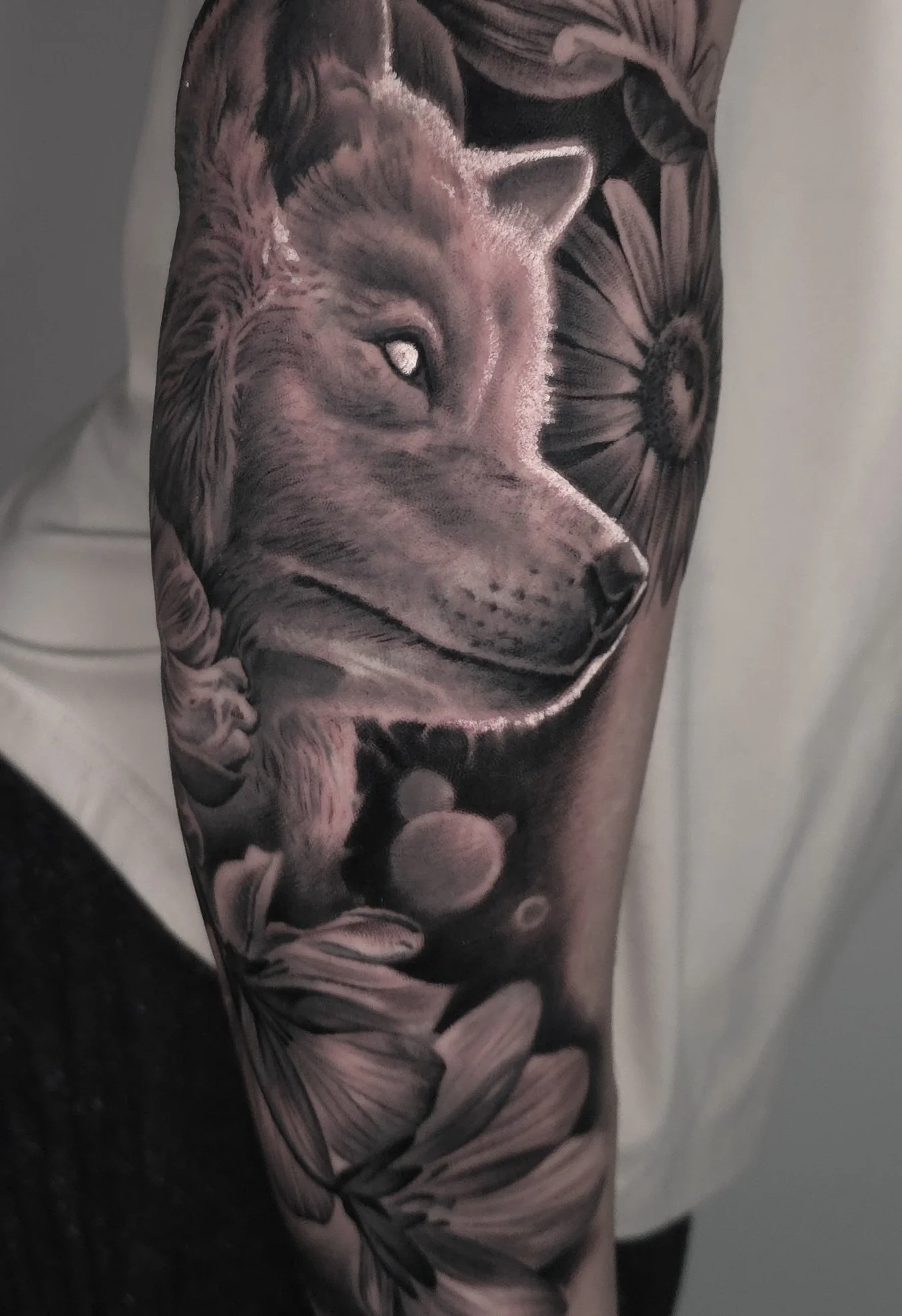 Black and gray tattoo of a wolf on a person's arm, with roses and celestial elements surrounding the wolf's face.
