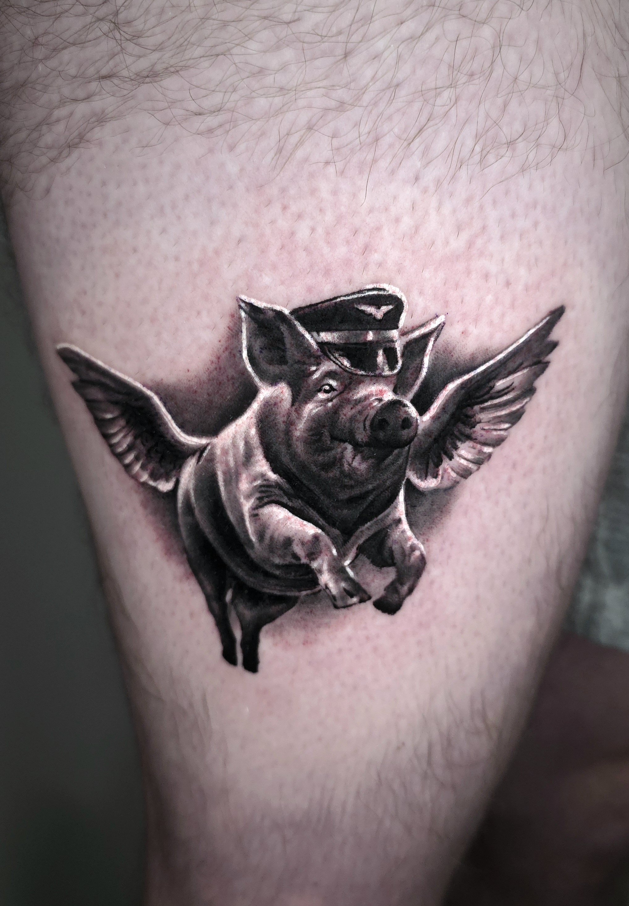 Tattoo of a pig with wings wearing a pilot's hat.