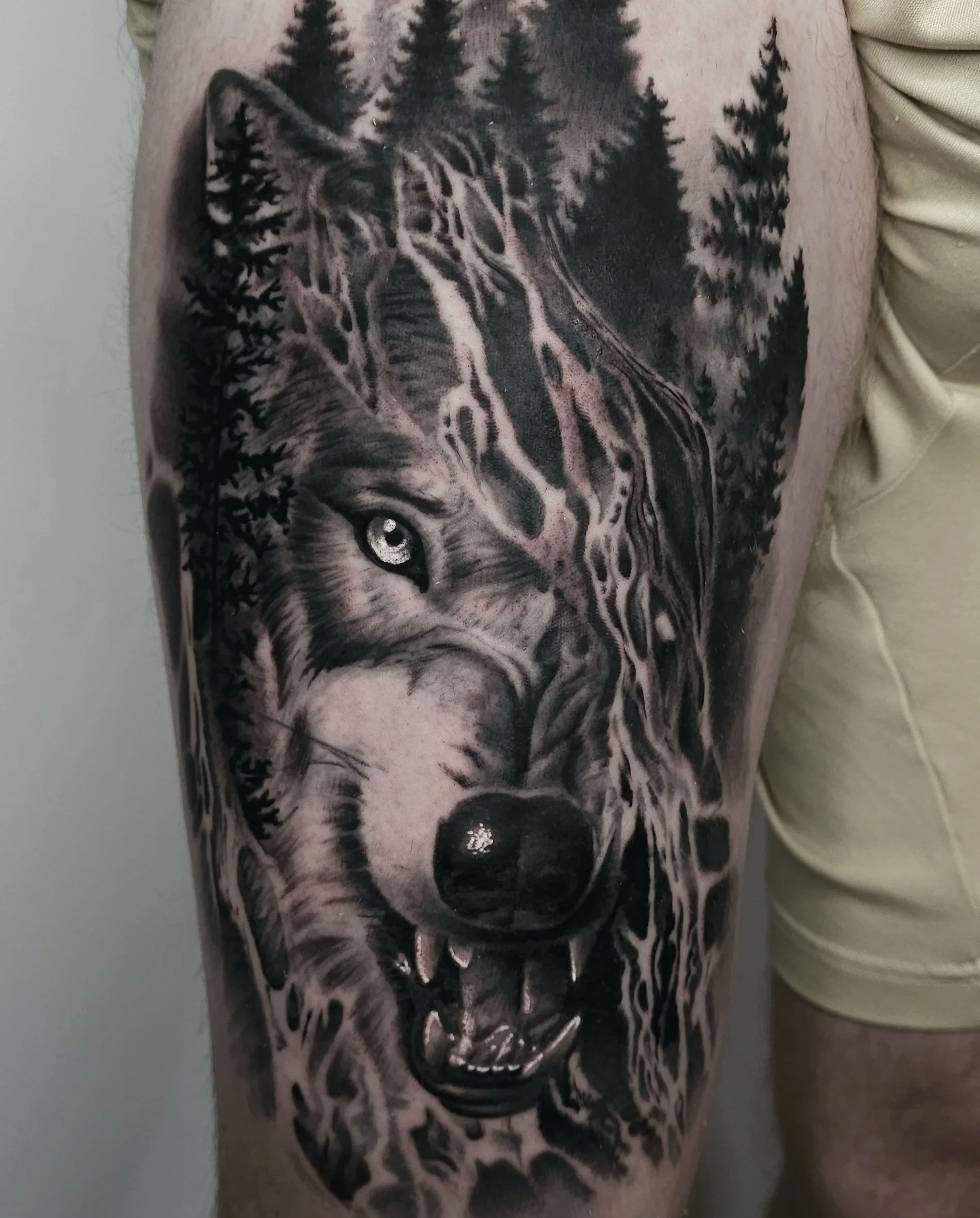 A black and gray tattoo of a wolf's head surrounded by forest trees, with one eye and snarling mouth showing teeth.