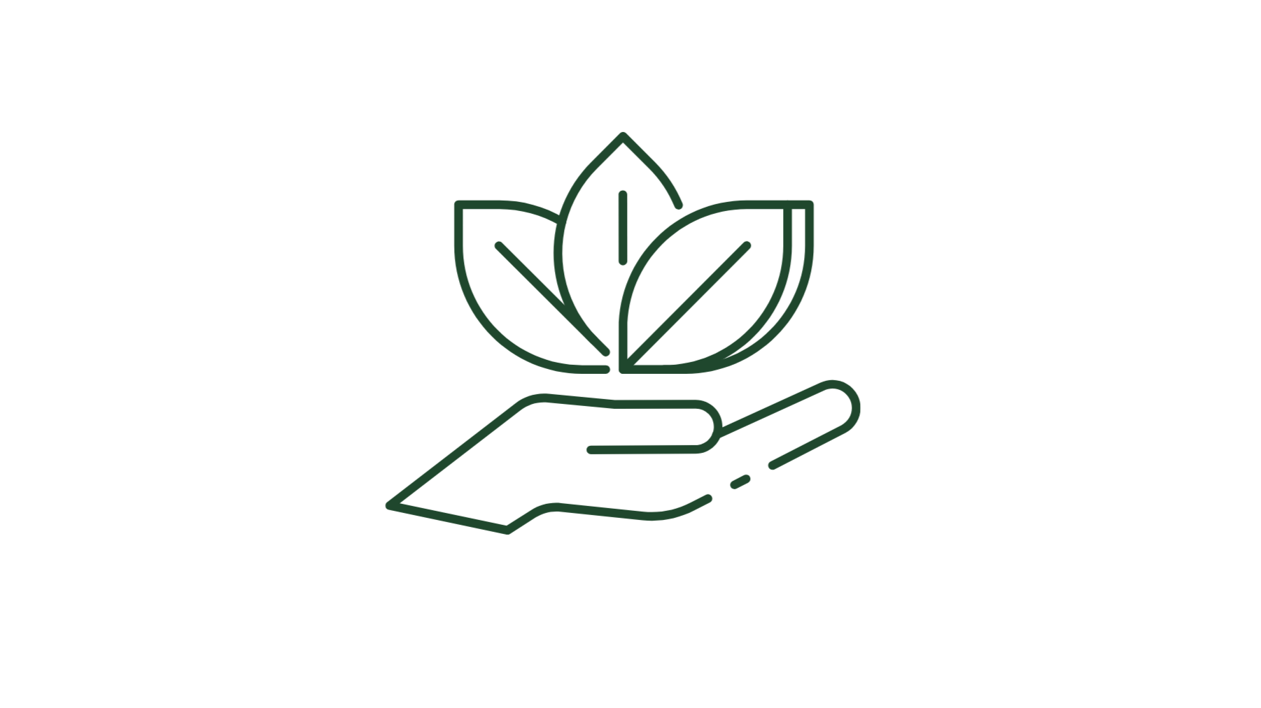 Outline of a hand holding a plant with three leaves.