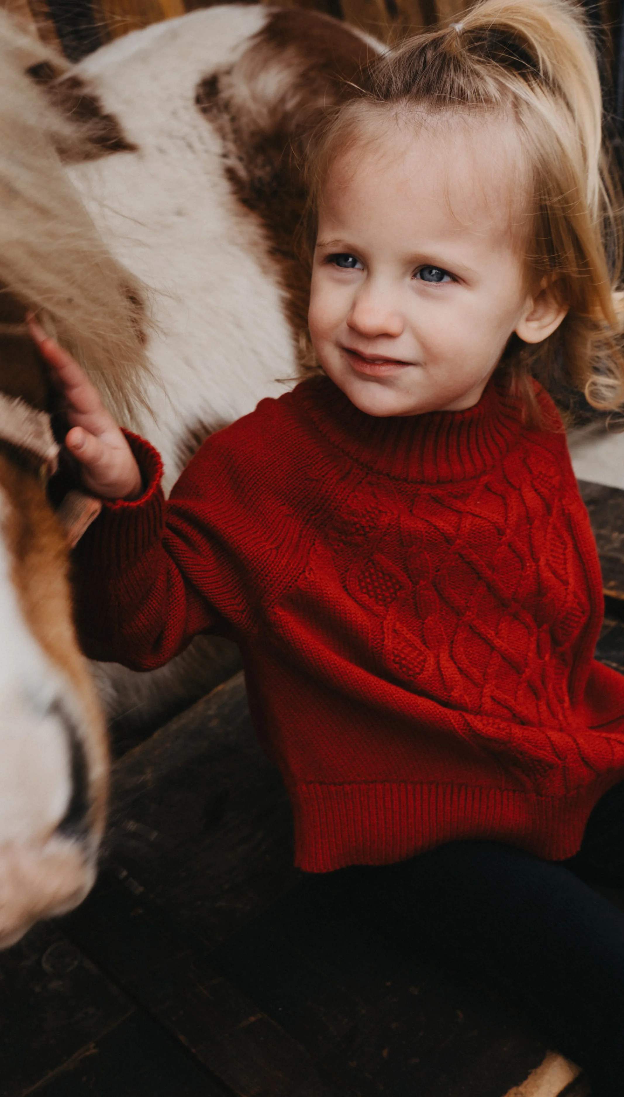 A young girl with blonde hair wearing a red sweater petting a dog, likely a husky.