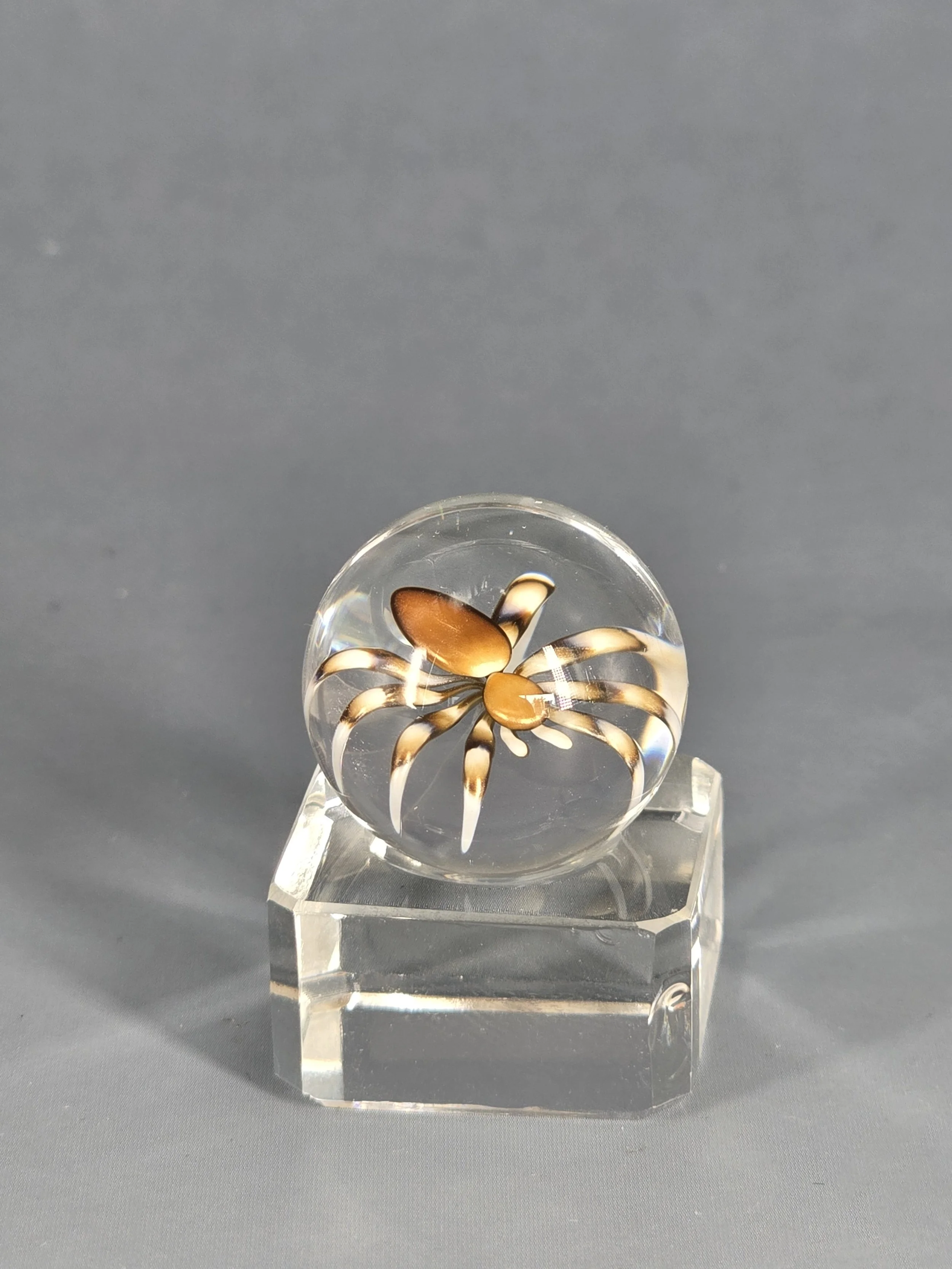 Florin Glass Marble Spider Gold