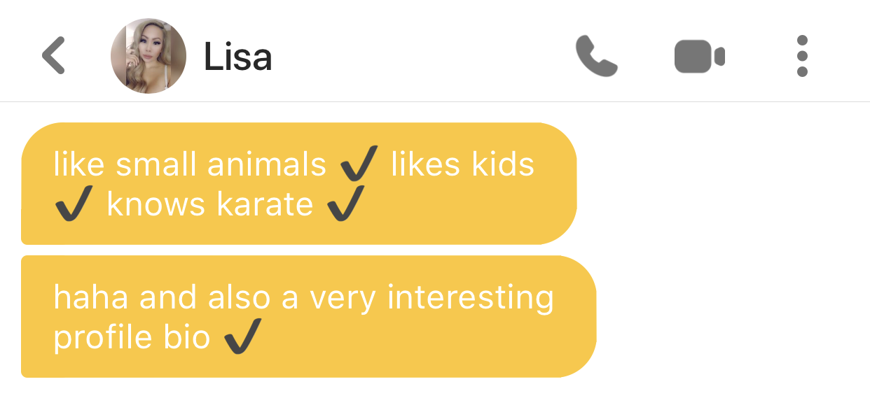Screenshot of a messaging app conversation with a user named Lisa. The message contains yellow speech bubbles with black check marks, listing personal traits and interests, including liking small animals, liking kids, knowing karate, and having an in