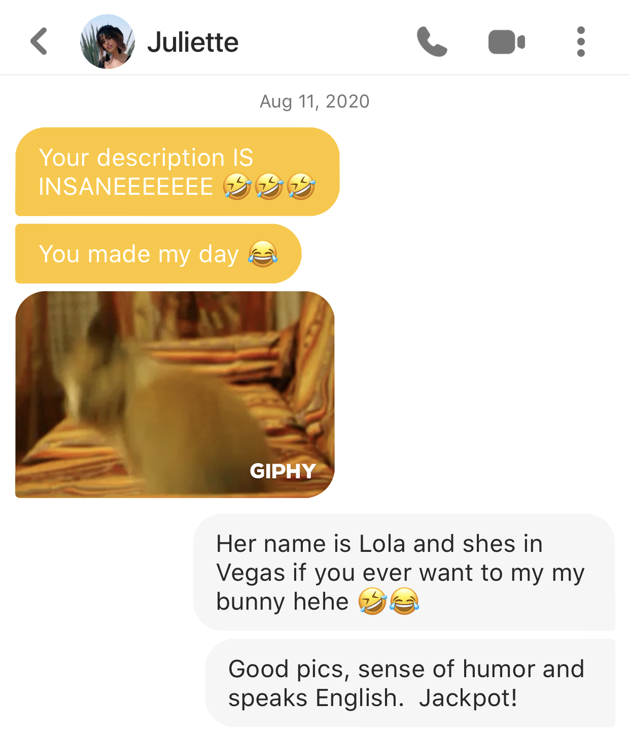 A screenshot of a message conversation with Juliette, dated August 11, 2020. The message contains playful praise with emojis, a blurry photo of a cat on a striped couch, and text about a person named Lola in Vegas, along with a compliment about humor