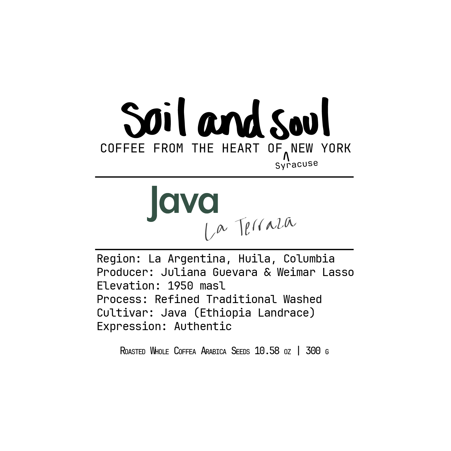 JAVA WEB.png