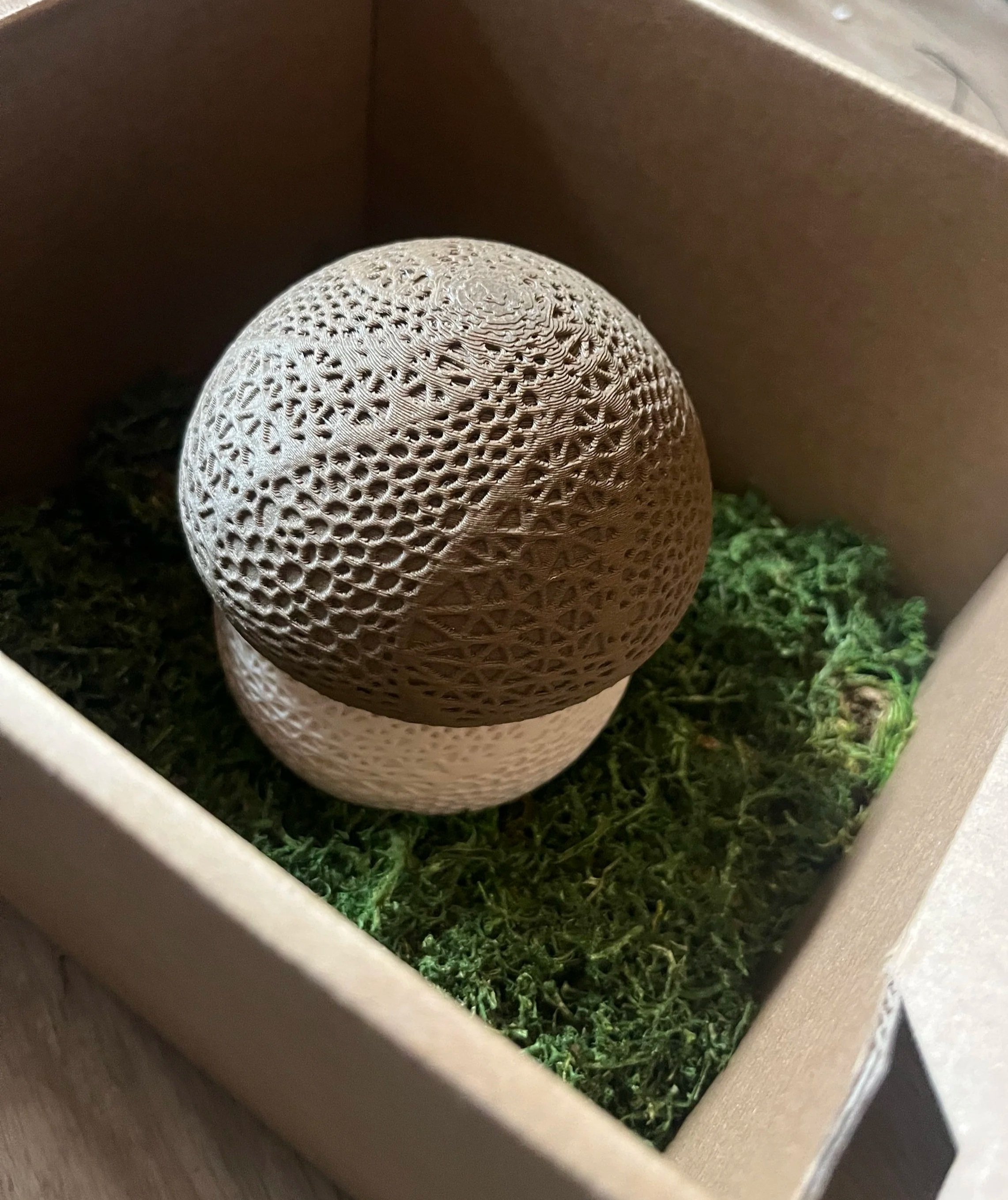 This box was part of a series that I created for players in my D&D campaign. This particular character has nature and mushroom themes. 
