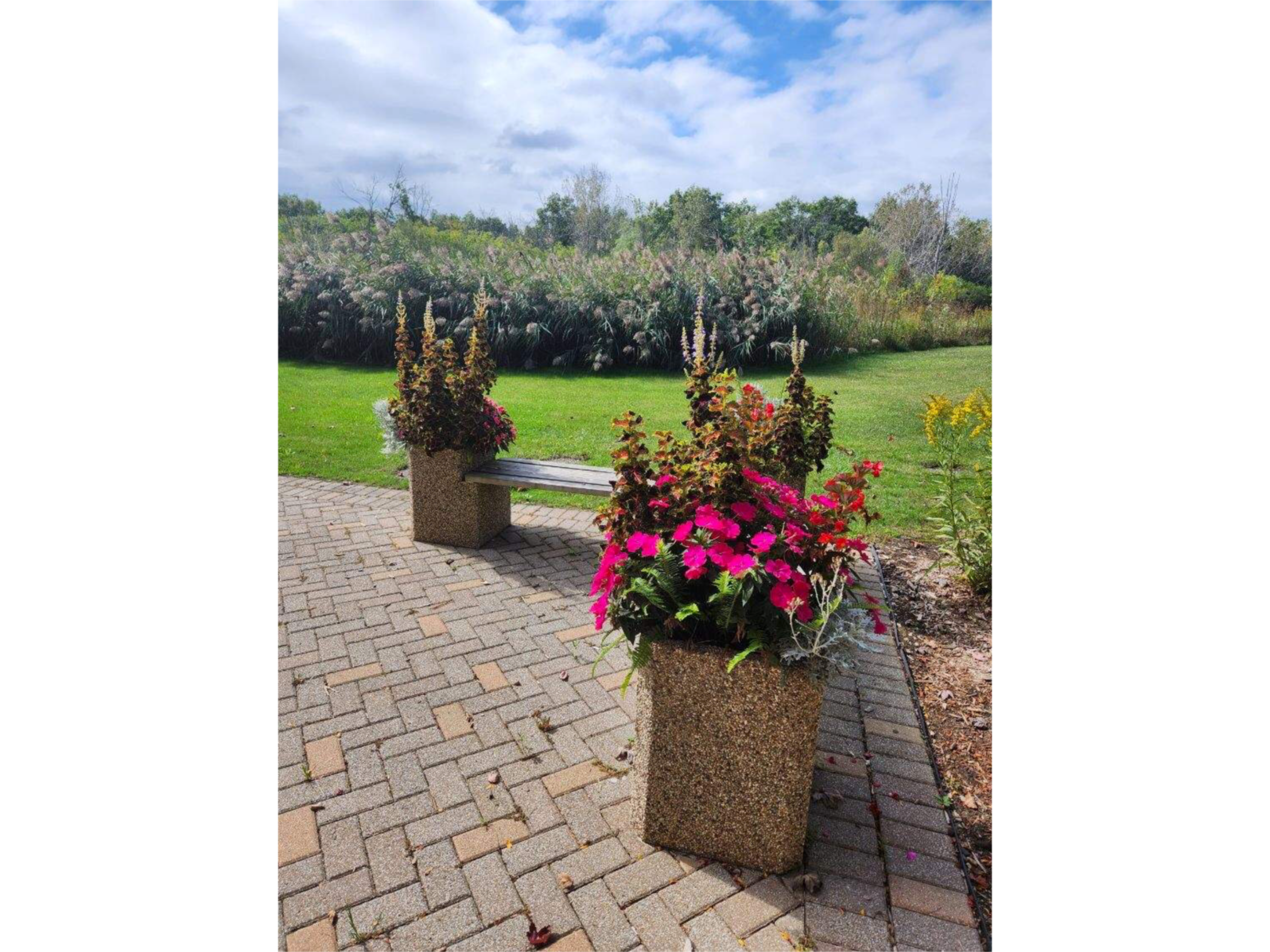 Colorful flower arrangements in large pots along a paved walkway with a park bench and lush green grass and trees in the background under a partly cloudy sky.