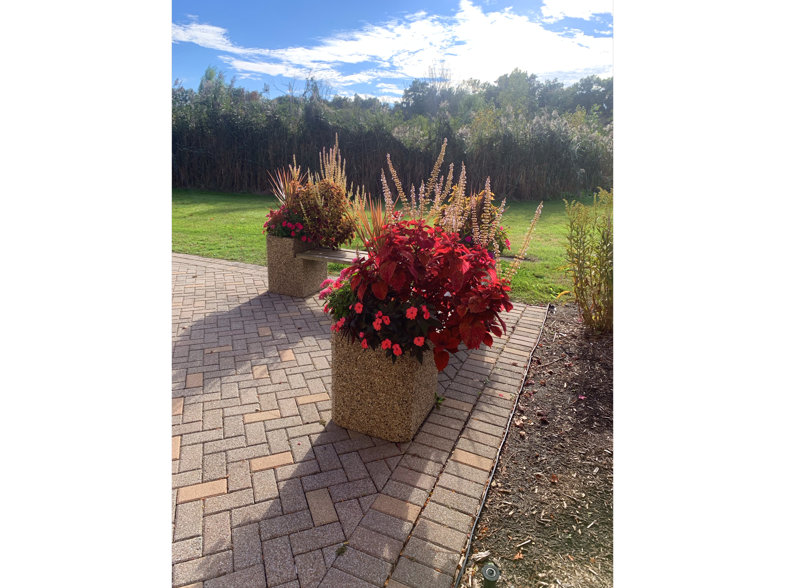 Colorful flower arrangements in tall rectangular stone planters on brick pathway outside, with green field and trees in the background under a partly cloudy sky.