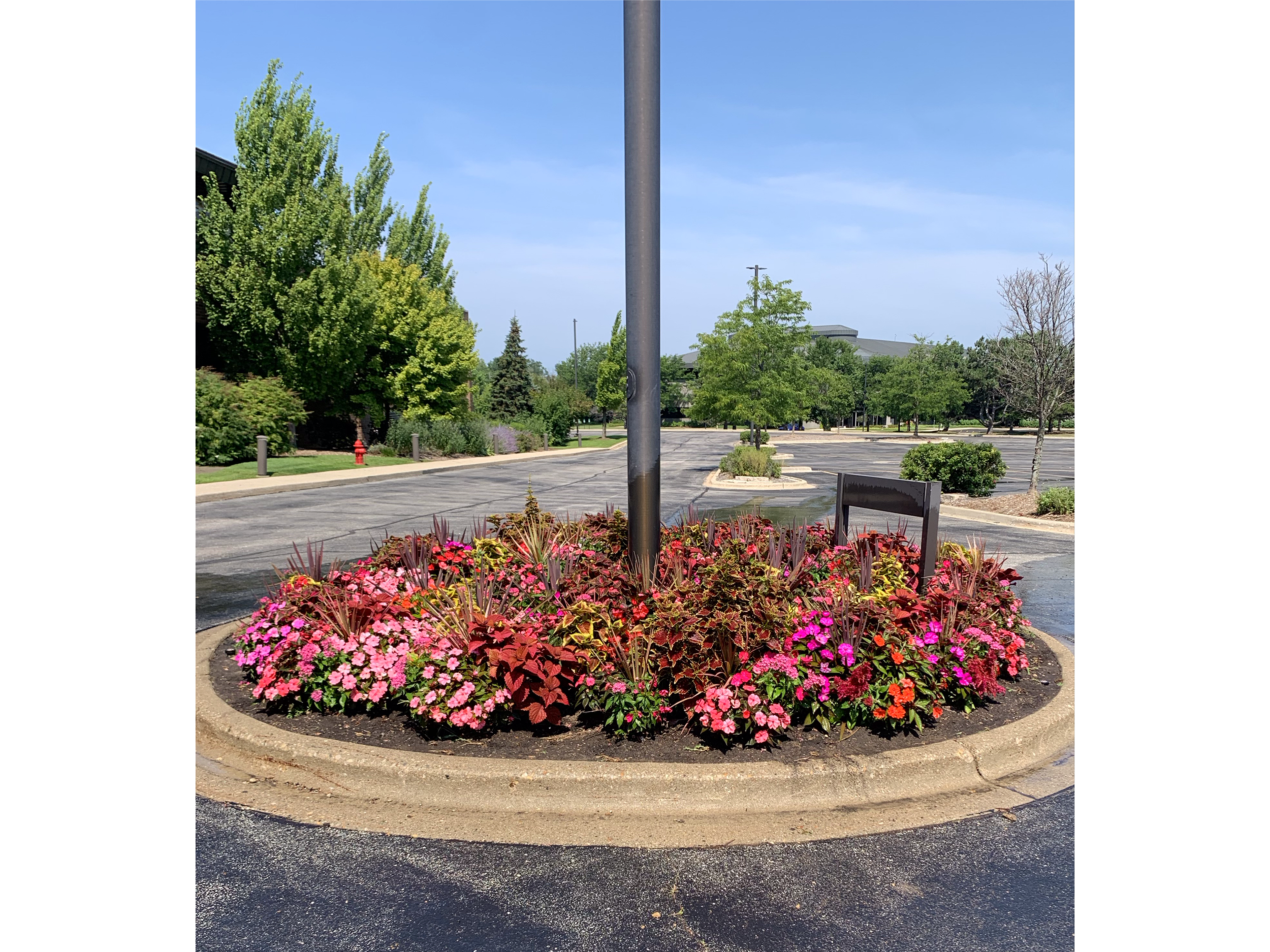 A circular flowerbed with pink, red, and purple flowers surrounding a metal pole in a parking lot, with trees and a building in the background under a blue sky.