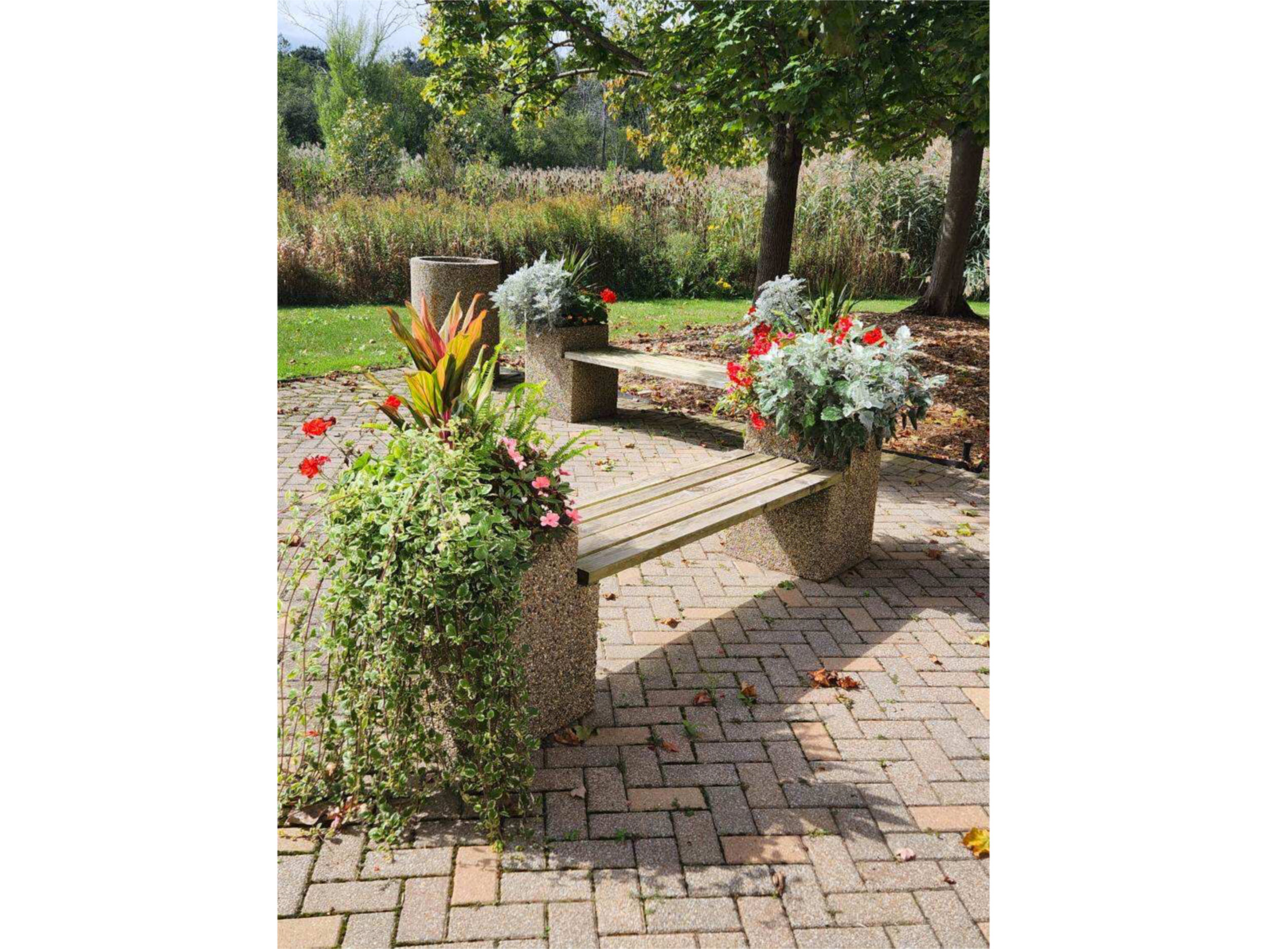 A bench in a park surrounded by colorful flowers and foliage with trees and grassy areas in the background.