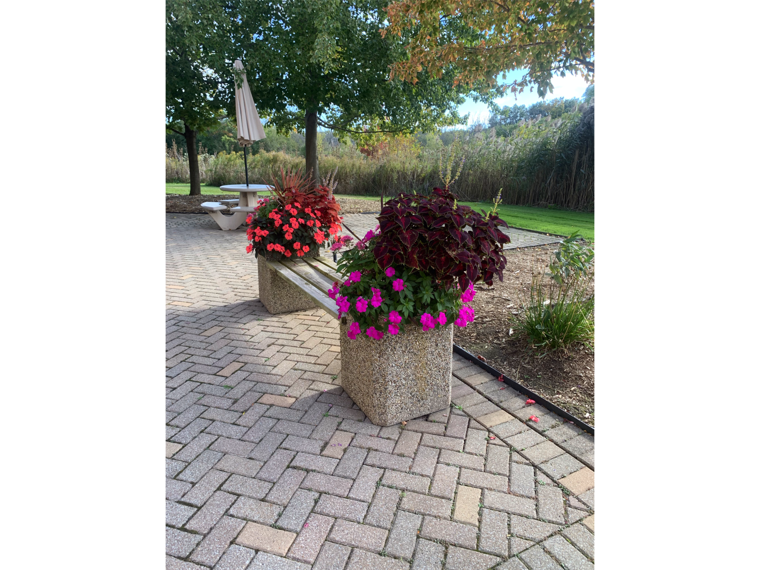Colorful flower arrangements in concrete planters on a brick sidewalk in a park, with trees, grassy areas, and a picnic table in the background.
