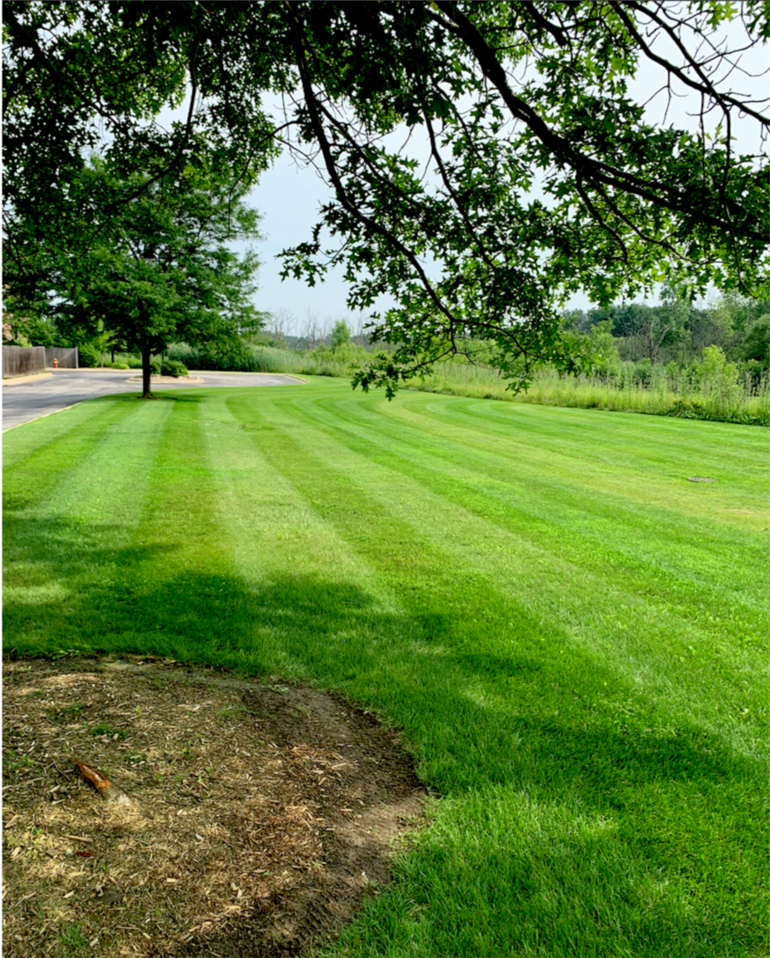 A well-maintained grassy park or golf course area with trees and a sidewalk, under a cloudy sky.