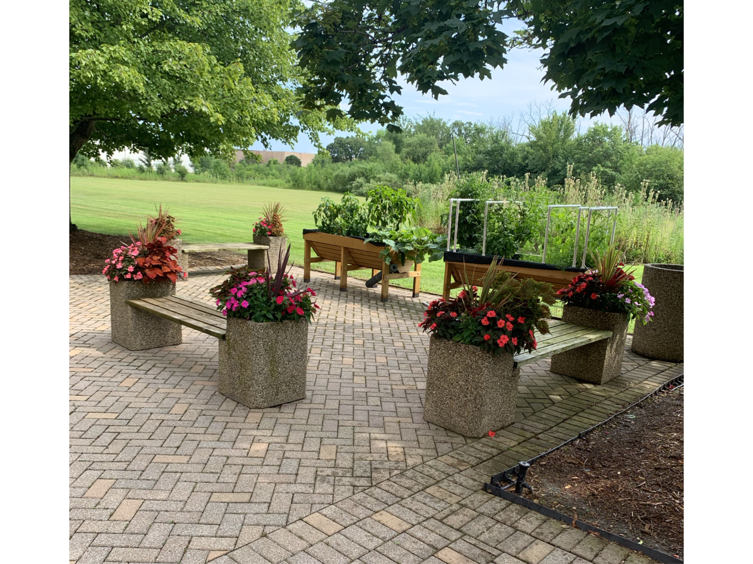 A garden patio with stone benches and large planters filled with pink and red flowers, surrounded by lush green trees and plants, scenic open field in the background, and a large tree providing partial shade.