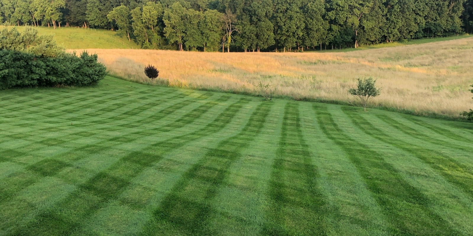 A well-manicured lawn with striped grass, bordered by trees and open field, with a wooded hillside in the background.