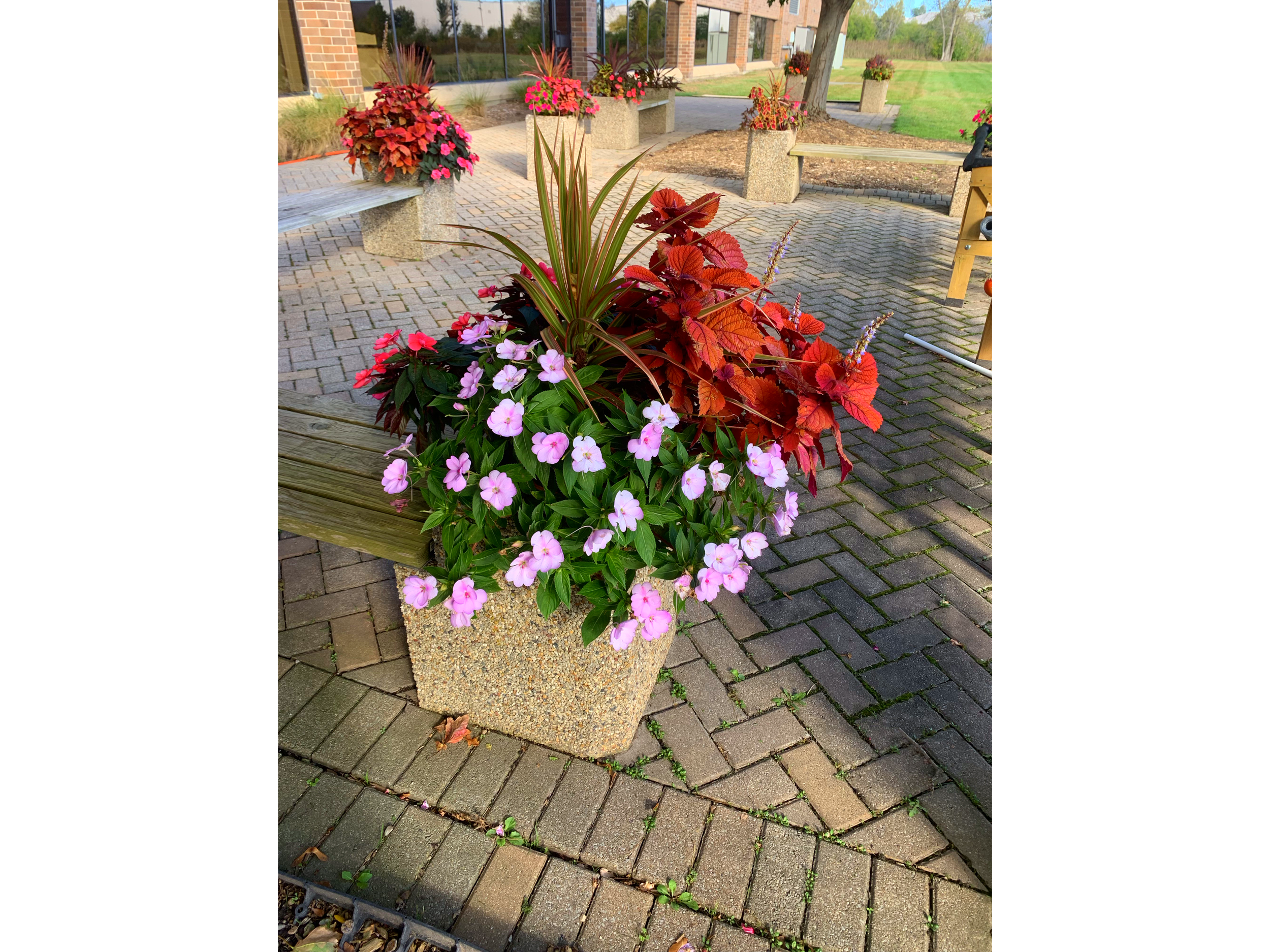 Colorful flower arrangement in a concrete planter on a brick patio, with pink, red, and purple flowers and green foliage.