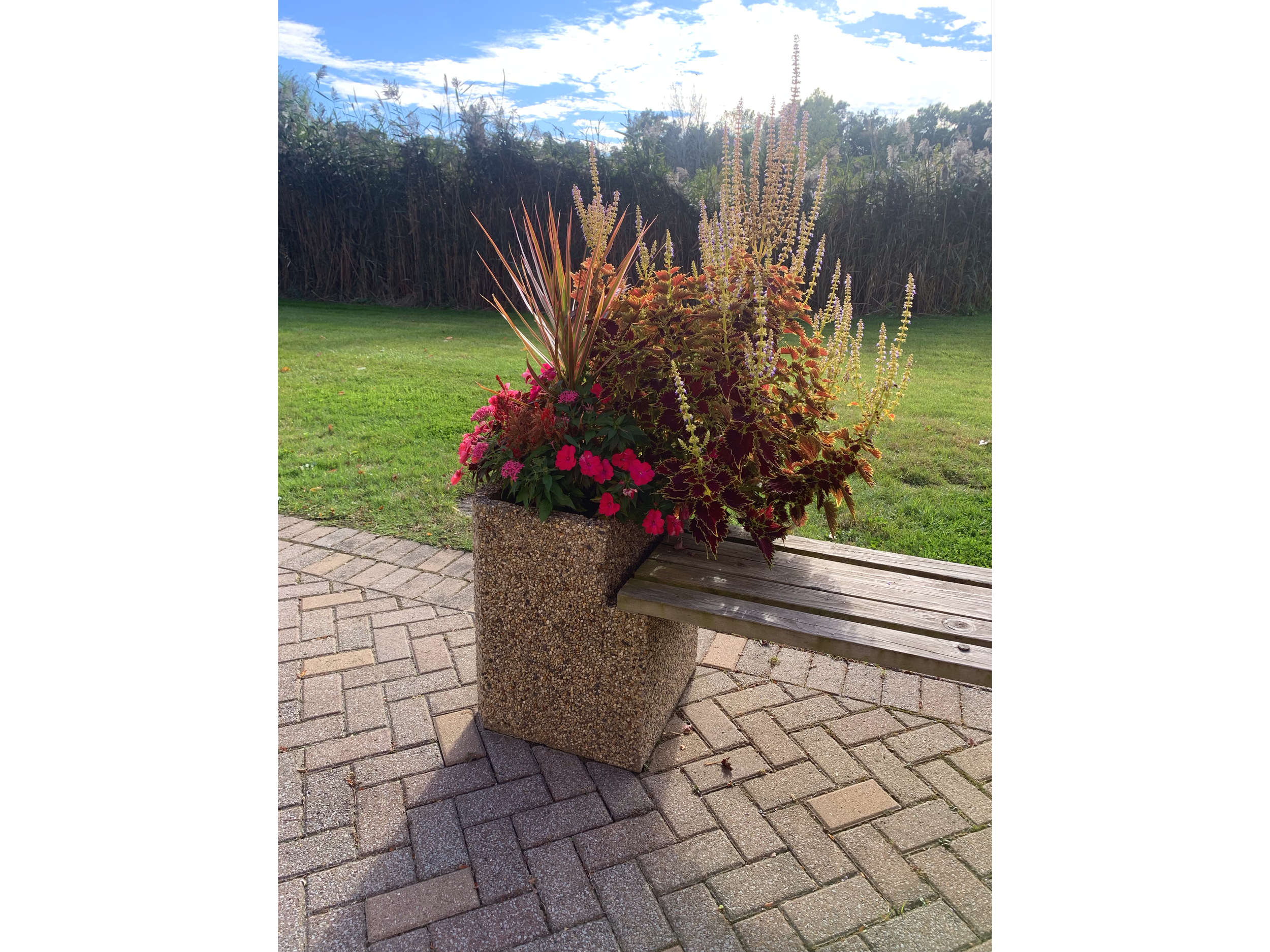 A flower arrangement in a large, textured concrete planter positioned on a paved walkway next to a wooden bench. The arrangement includes tall grasses, vibrant pink flowers, and variegated foliage, with a grassy area and dense tree line in the backgr