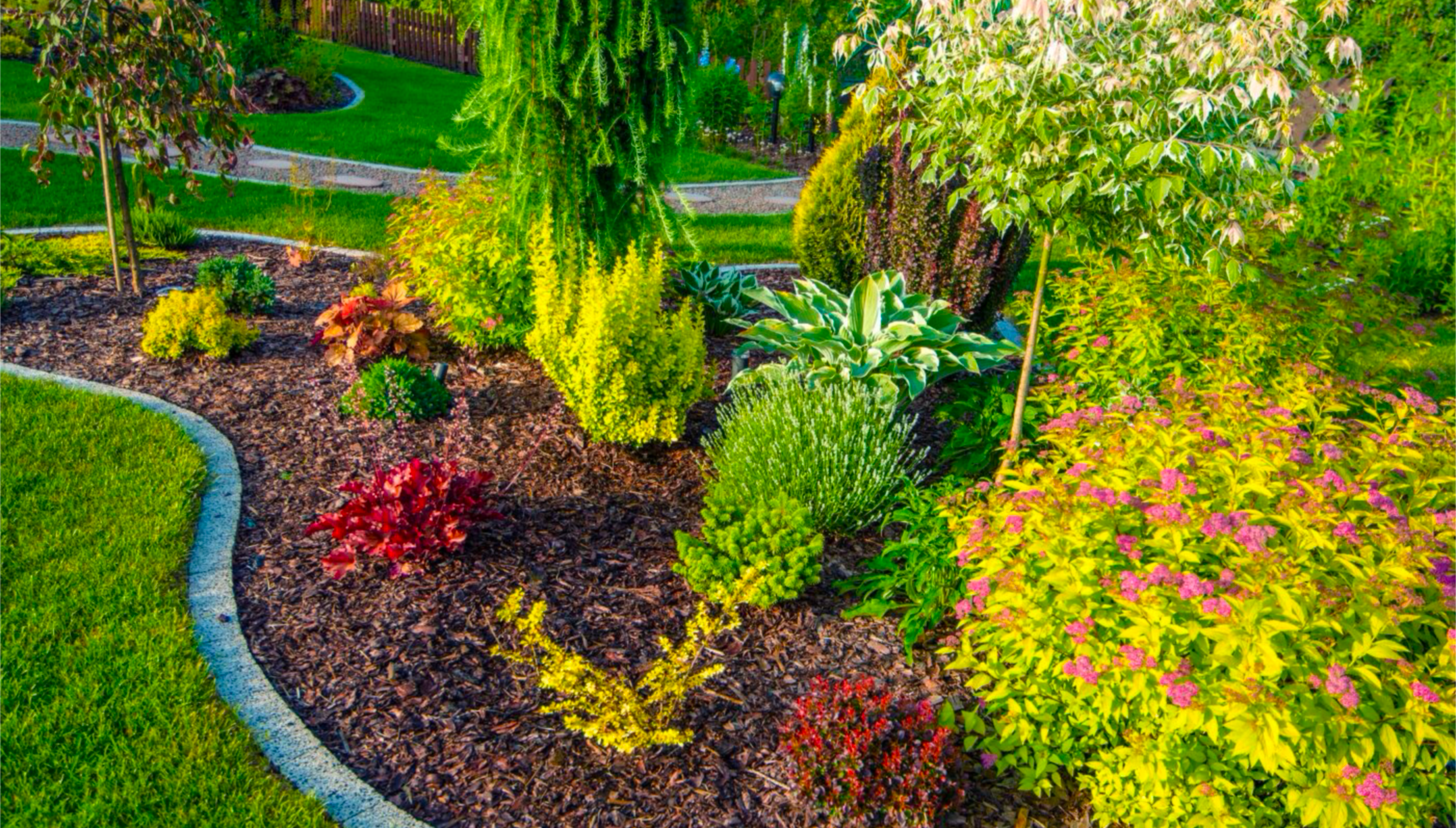 A vibrant garden with various colorful plants, shrubs, and small trees bordered by a curved stone edging, with a lawn and a gravel pathway visible in the background.