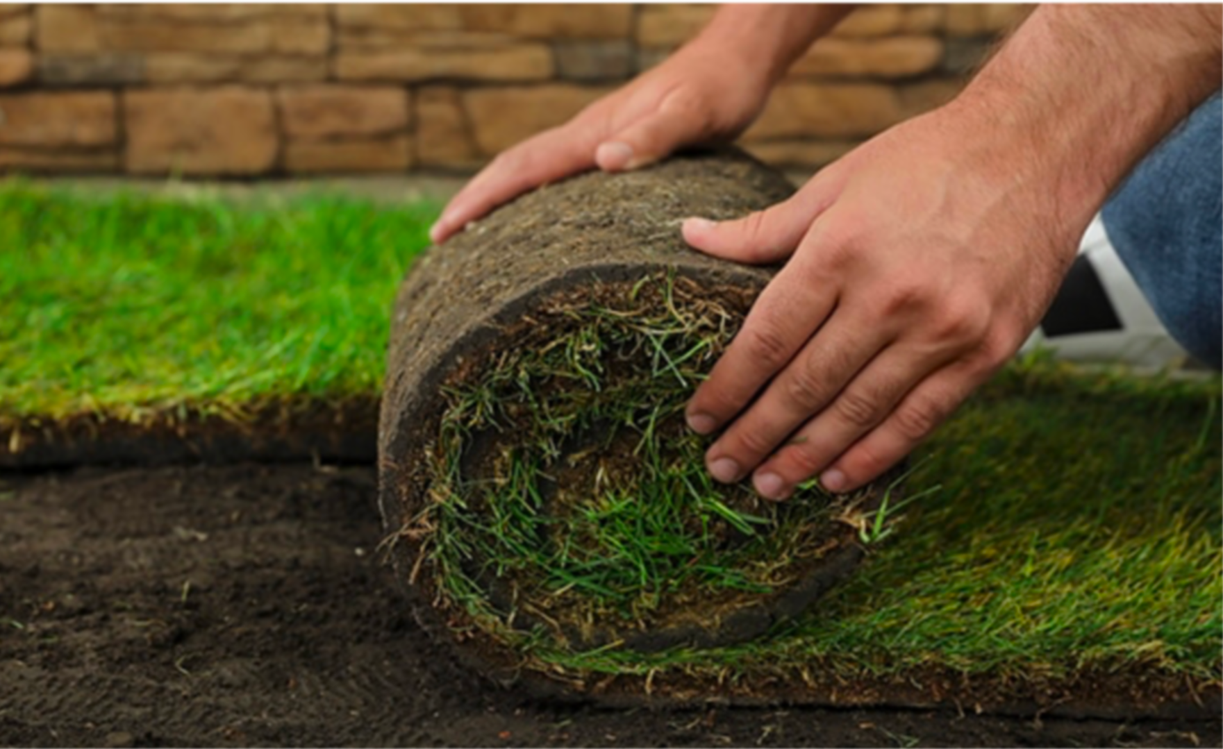 Hands rolling out sod grass onto soil in a garden or yard.
