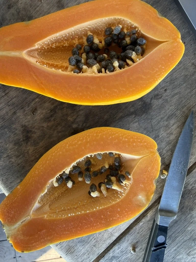 papaya.jpeg