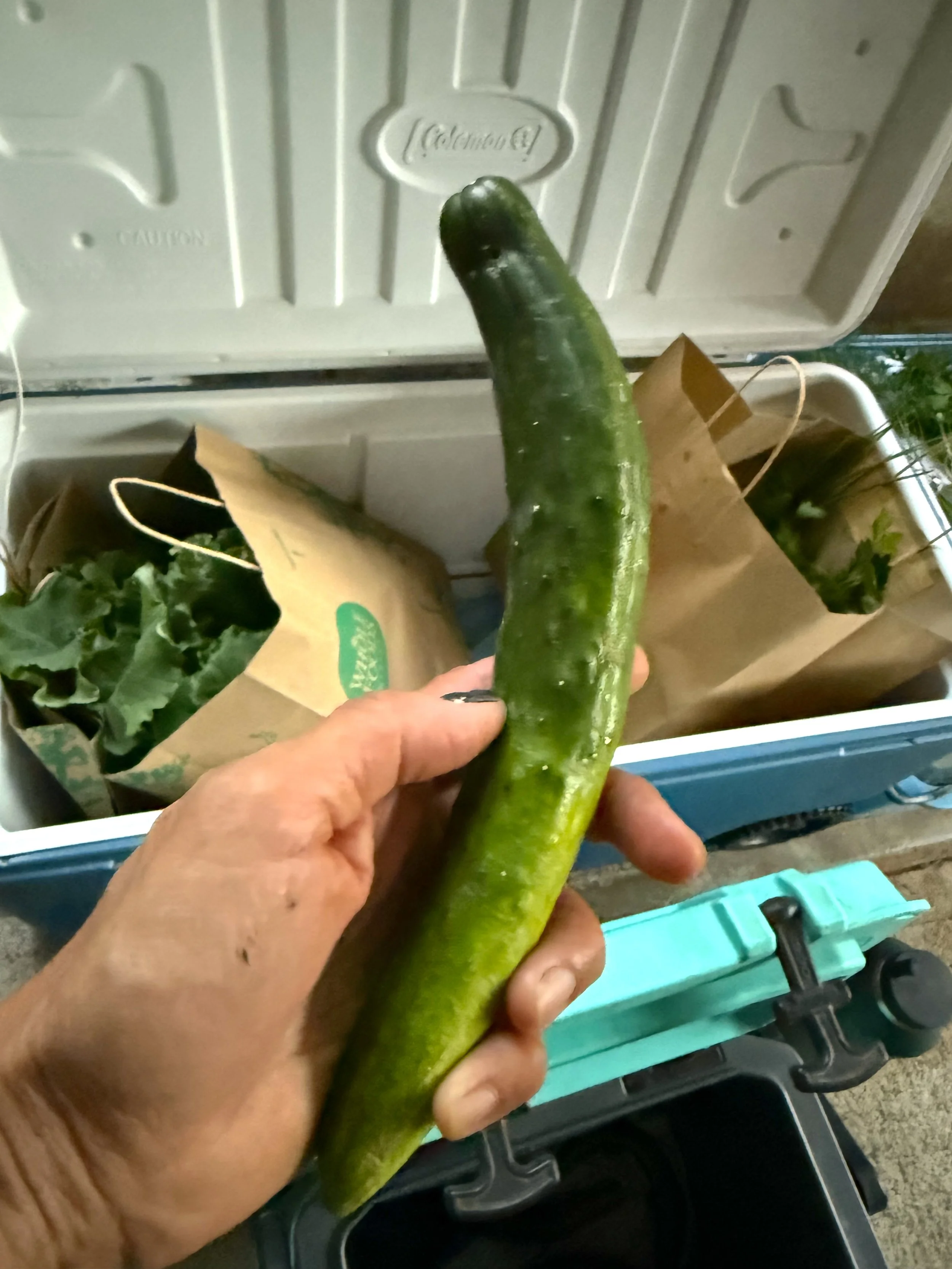 produce.jpg