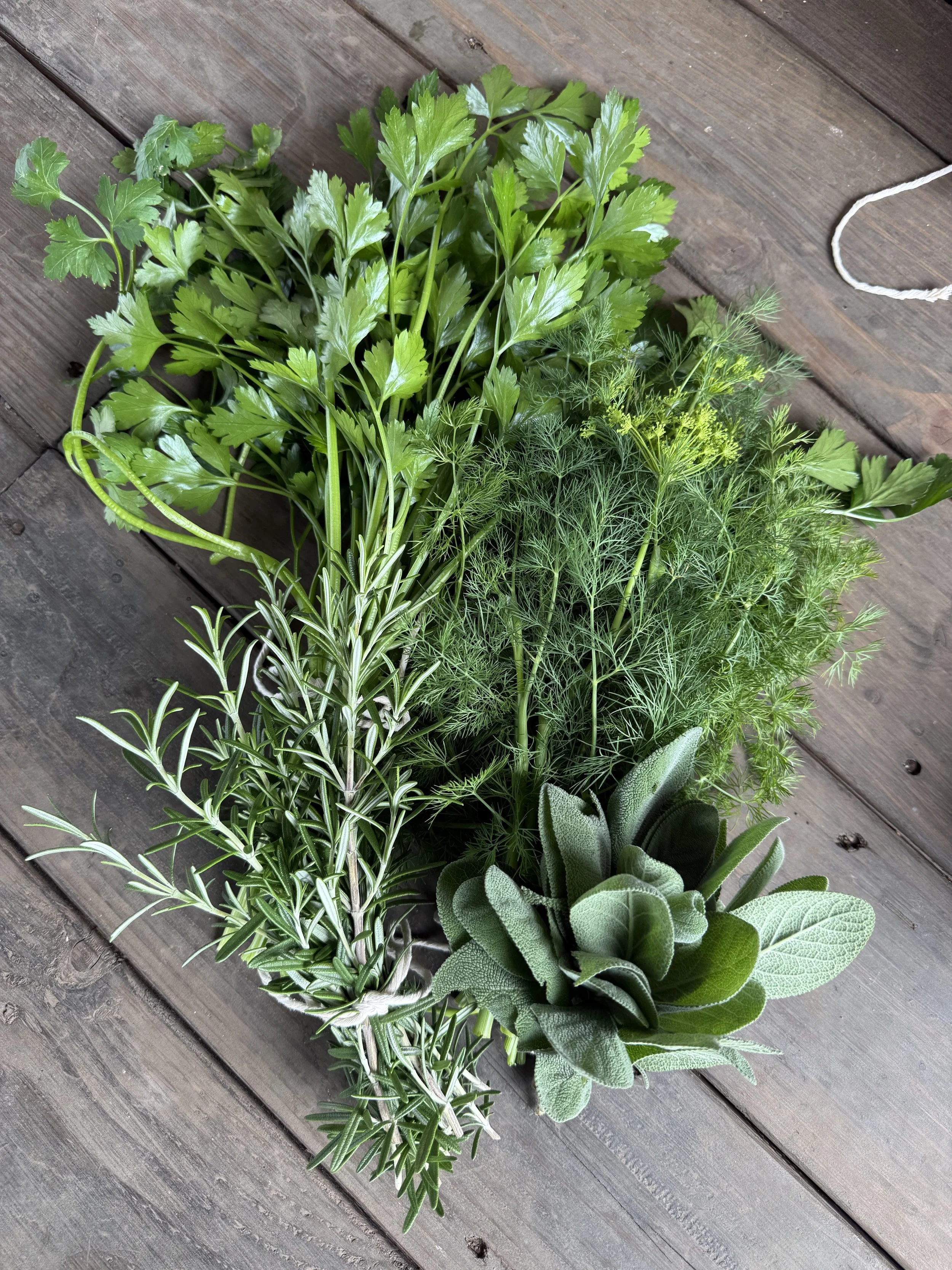 Fresh Herbs.jpg