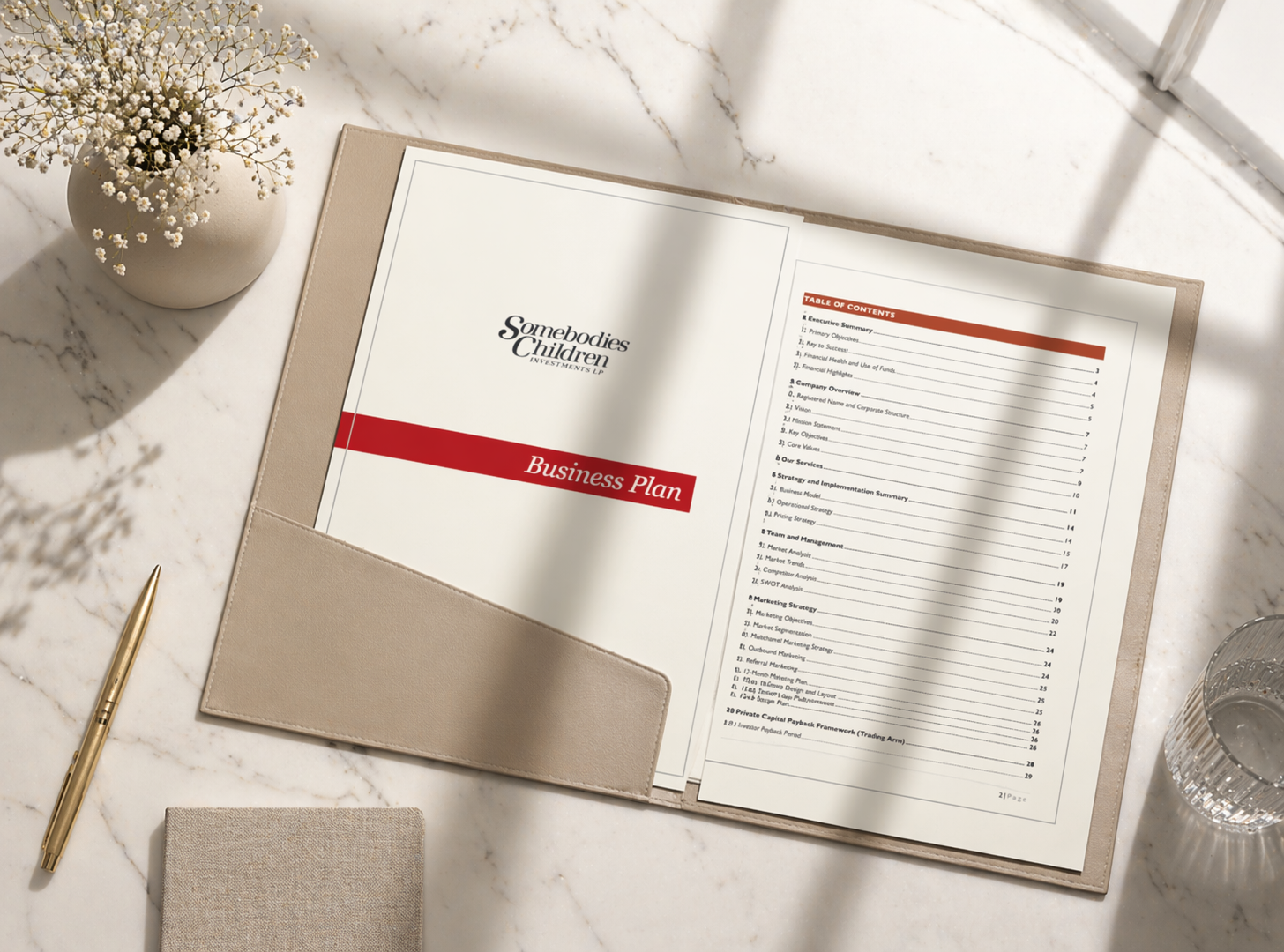 Comprehensive Business Plan Development