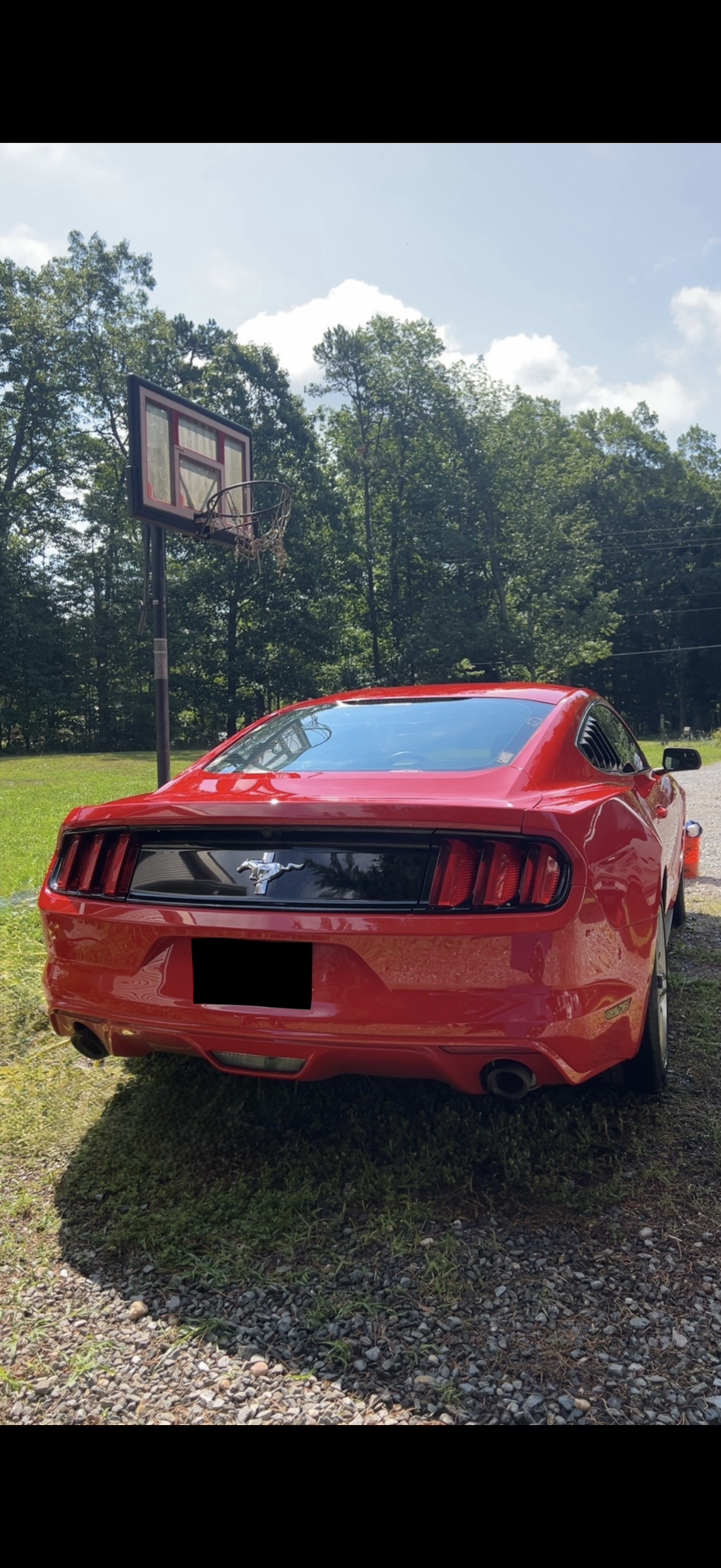 Red Ford Mustang parked on grass with a basketball hoop and trees in the background on a sunny day.