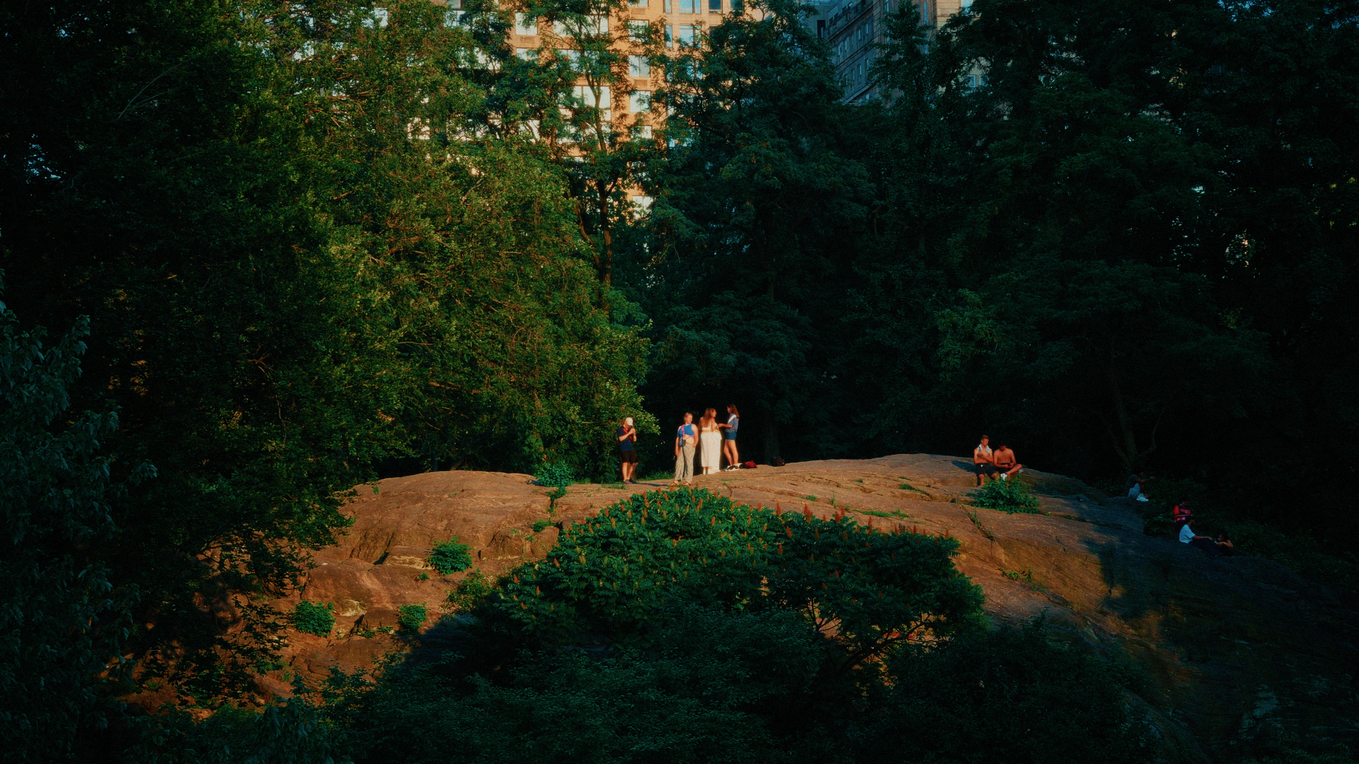 Still 2025-12-22 195008_1.14.1.png