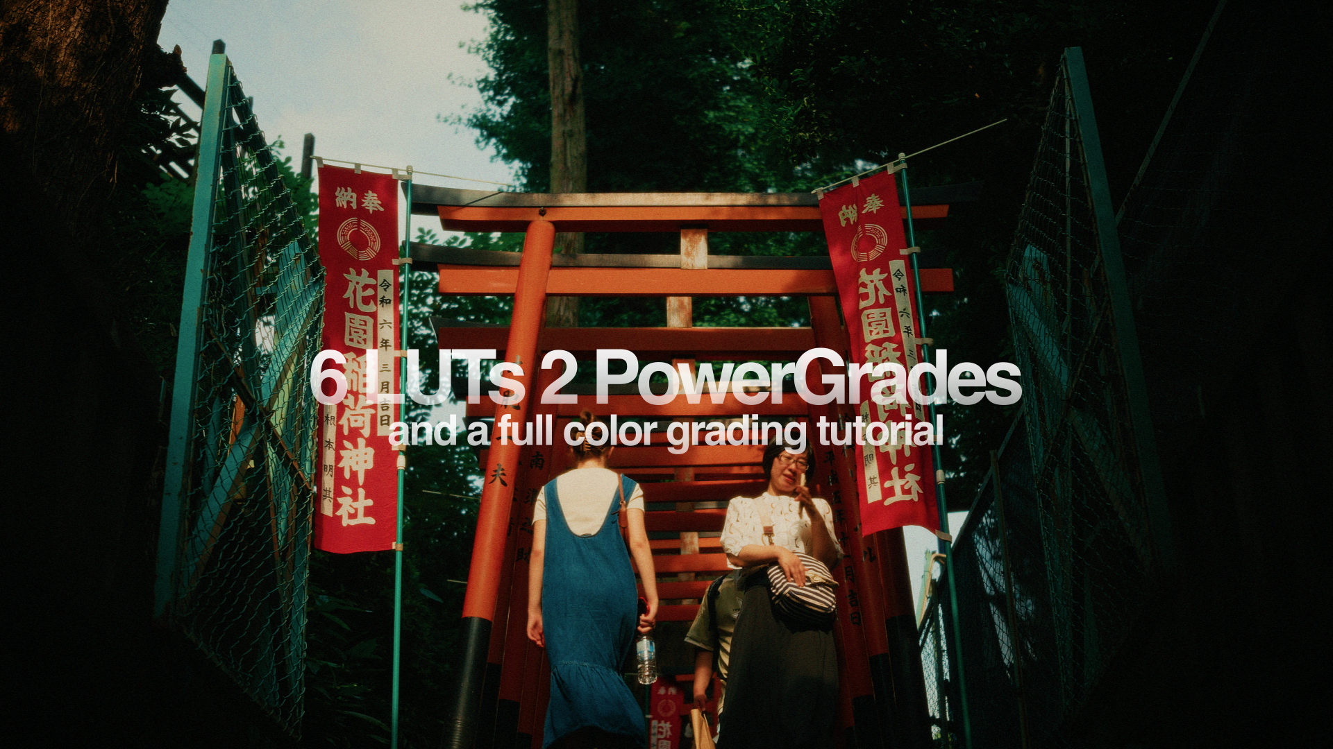 Still 2025-12-22 194953_1.8.1.png