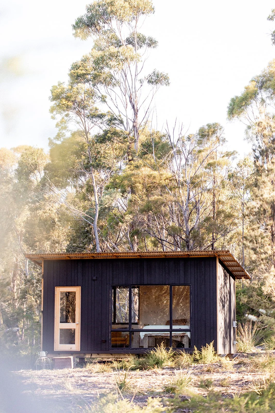 A small modern black house with large glass windows and a wooden door, set against a backdrop of tall trees and natural landscape, bathed in soft sunlight.
