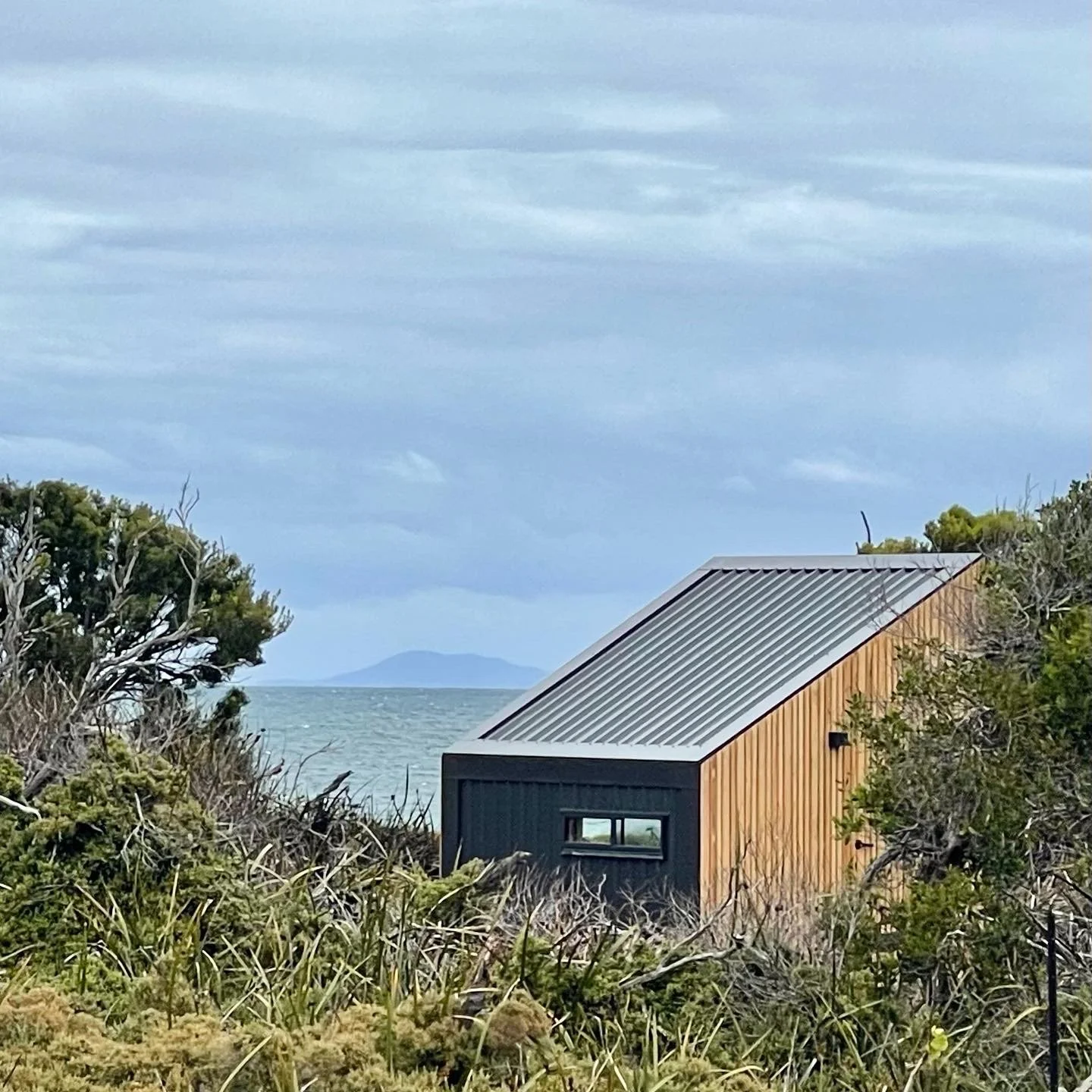 A modern house with a sloped metal roof, surrounded by bushes and trees near the coast, with the ocean and distant land visible in the background under a cloudy sky.